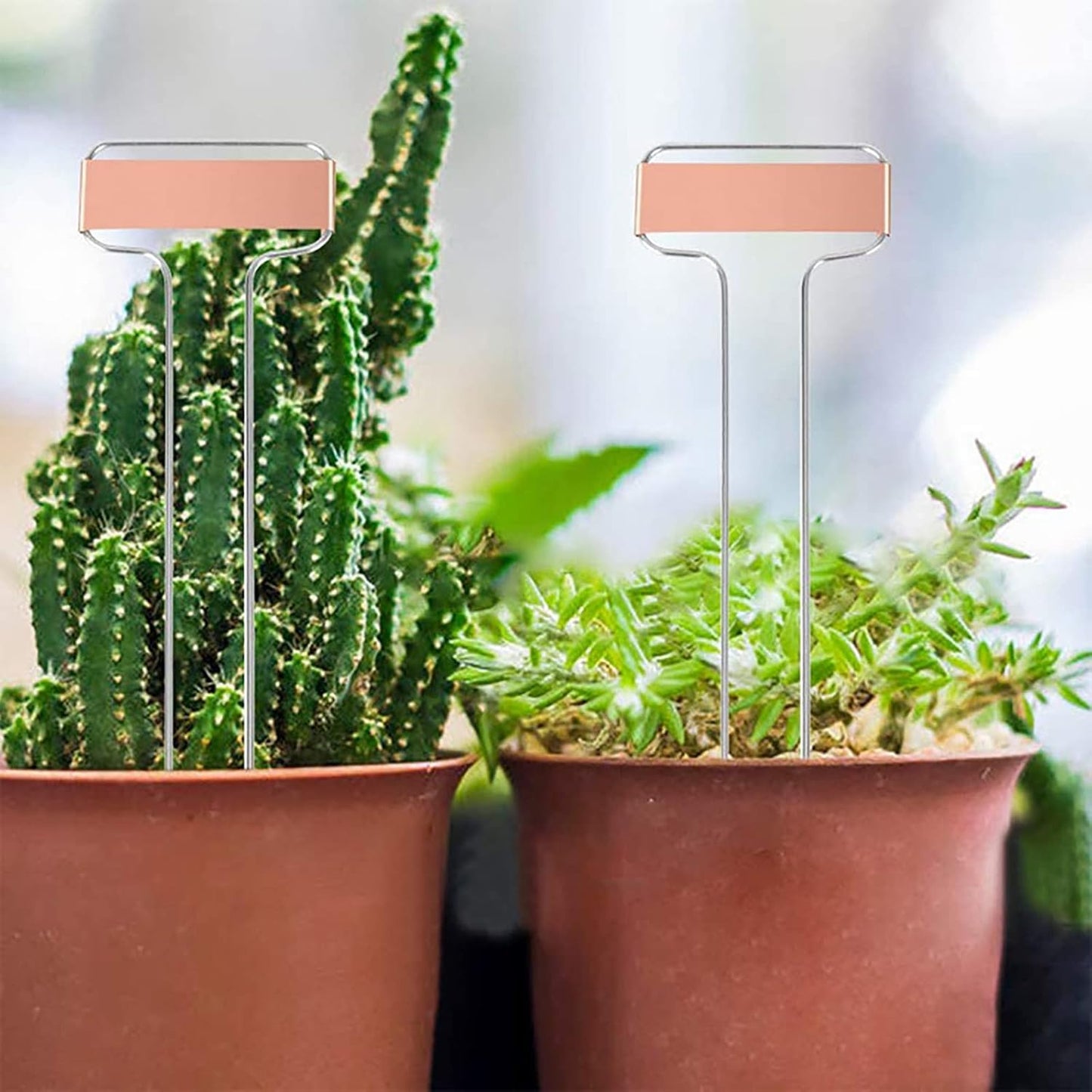 Foraineam 30 Pack 10 Inch High Copper Plate Metal Plant Labels Garden Stake Tags Reusable Planting Gardening Markers