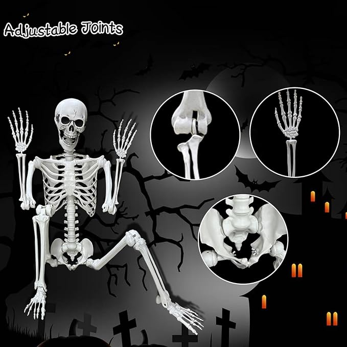 Lodou 5.4Ft Posable Life Size Human Adult Skeletons Plastic Human Bones with Movable Joints for Halloween Decoration