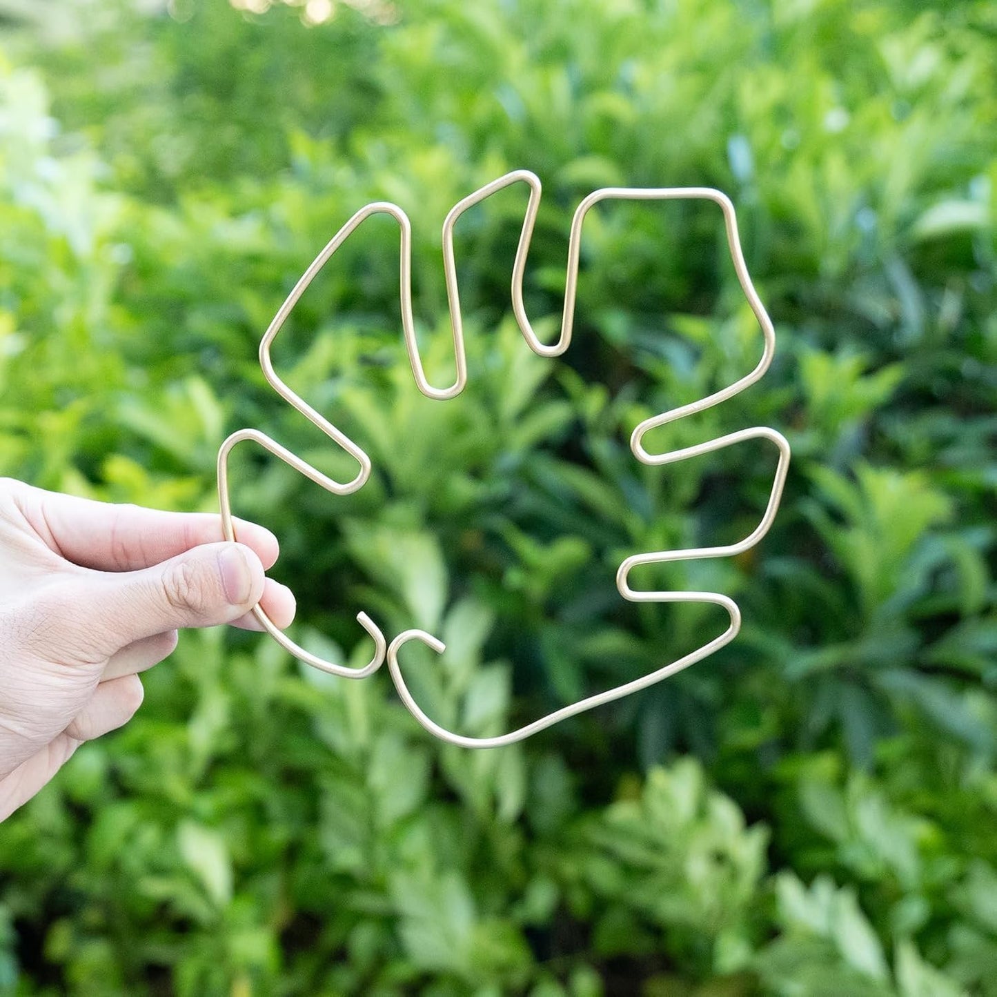 Monstera Stem Support - 5-Piece Durable Plant Support System for Monstera & Turtle Shell Plants -Premium -Quality Leaf Clamps -Easy-to-Use Indoor Garden Stabilizers for Healthy Growth