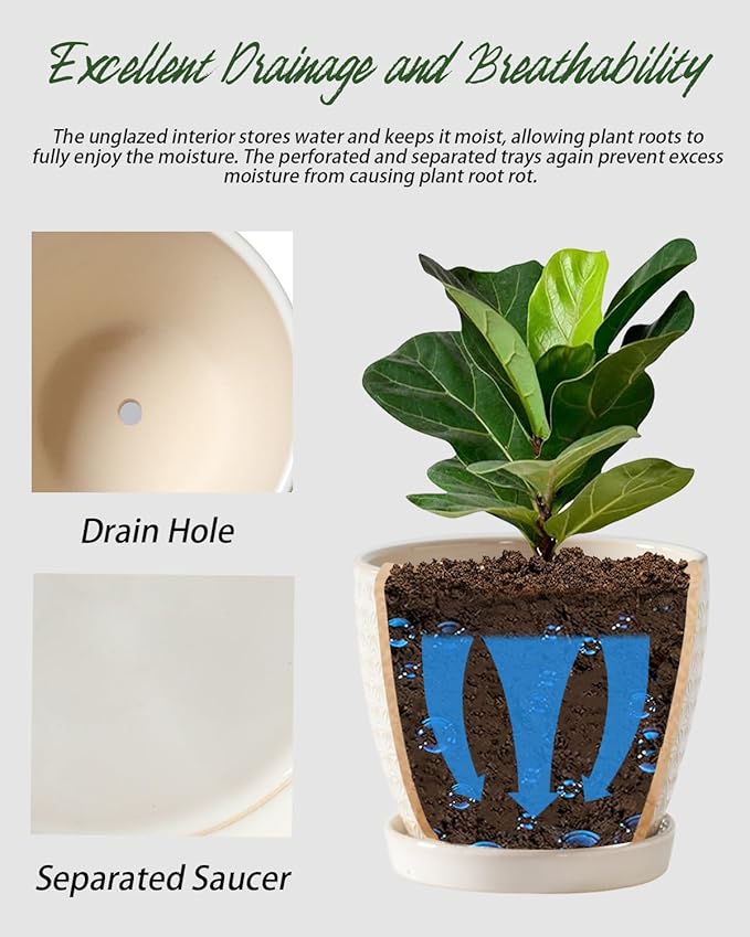 Plant Pots, Flower Pots, Planters for Indoor Plants(6.5+5.5inch), Flower Pots for Indoor Plants with Drainage Hole and Saucer, Ceramic Pots for Plants with Hole Mesh Pad,Reactive Glaze White