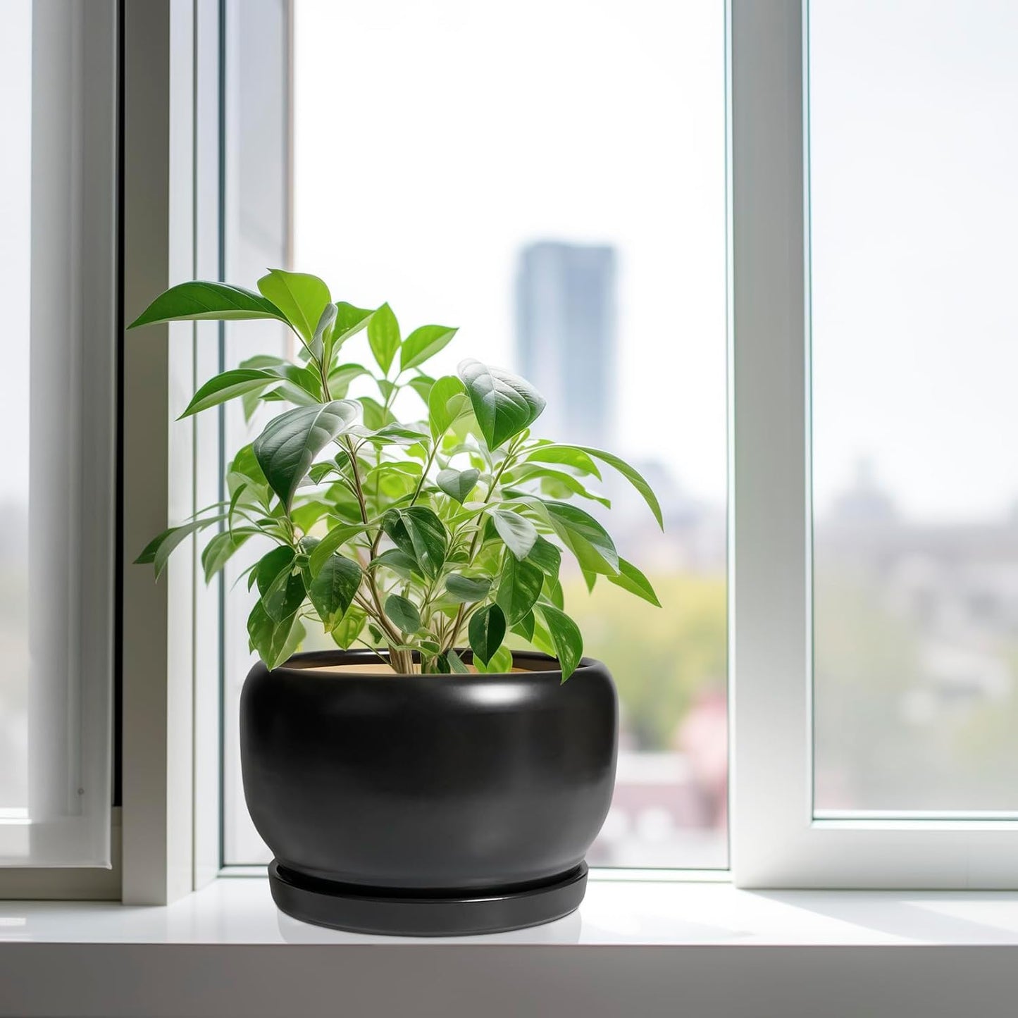 SQOWL Ceramic Flower Pot - 10 Inch Planter with Drainage Hole and Saucer, Modern Large Plant Pot Indoor Outdoor, Decorative Round Planter, Bedroom Decor, Gifts for Plant Lovers, Black