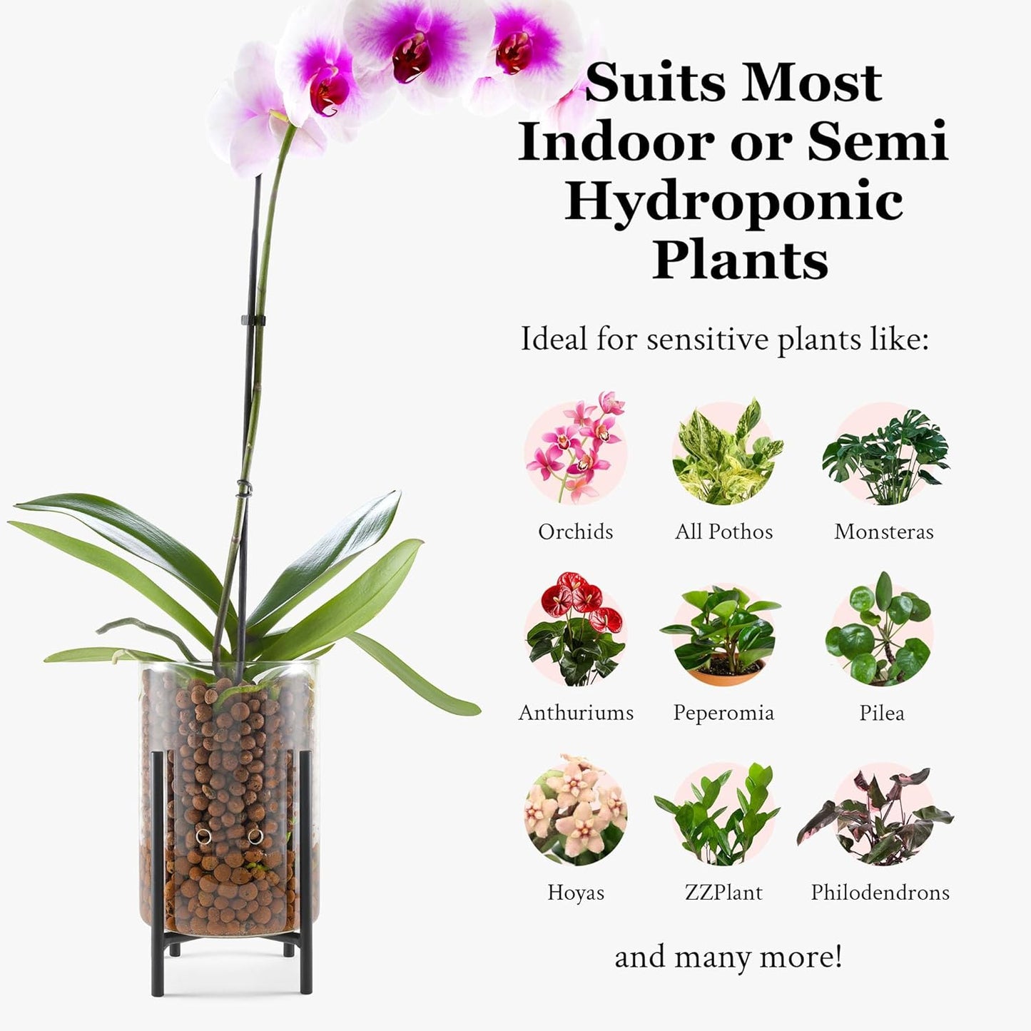 Pot & Pebble - C8 Glass Planter with Decorative Metal Base - Plant Propagation Station with Water Level Control - Plant Cutting Holder for LECA Clay Pebbles/Similar Media - Semi Hydroponic Planter