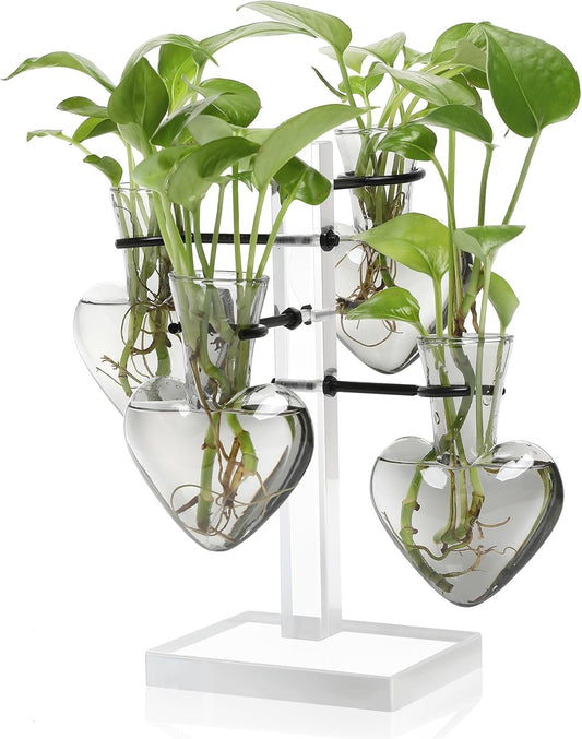 Clear Plants Propagation Stations Terrarium Kit Birthday Gift for Women for Indoor Home Office Decor Acrylic Plant Accessories - 4 Love Hear Vase