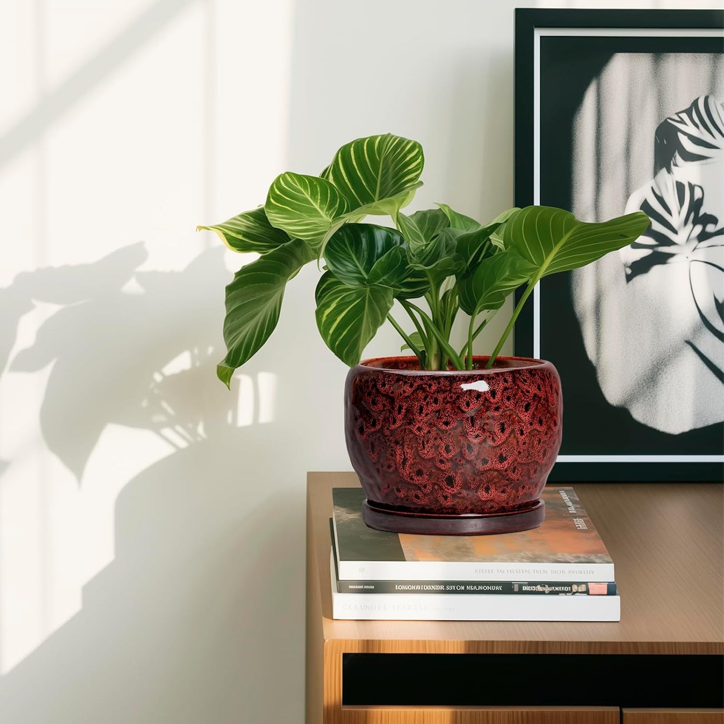 SQOWL Ceramic Pot for Plants - 6 Inch Plant Pot Indoor with Drainage Hole and Saucer, Decorative Flower Pot Outdoor, Round Succulent Planter, Front Porch Decor, House Warming Gifts New Home, Red