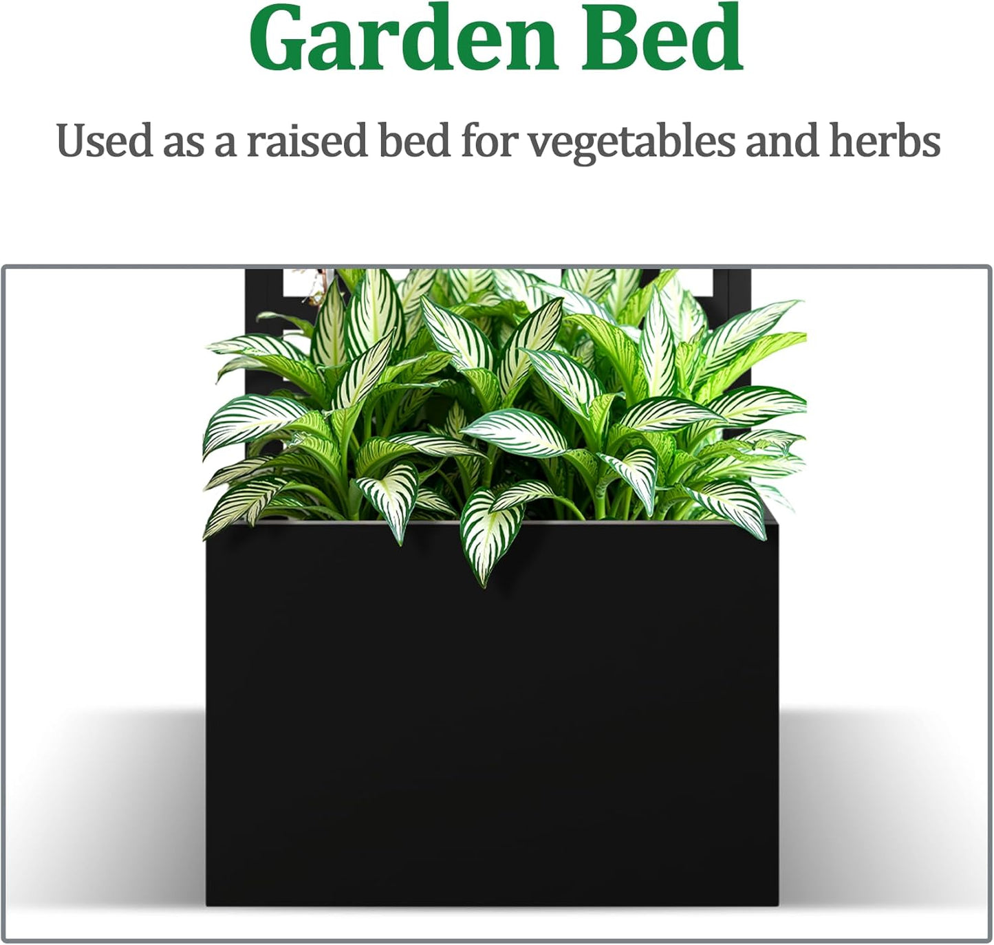 Metal Raised Garden Bed with Trellis, 2 in 1 Trellis with Planter Box & Privacy Screen for Climbing Plants, Vine, Outdoor Standing Flower Beds with Drainage Holes, 23.6"L x 11.8"W x 63"H, Black