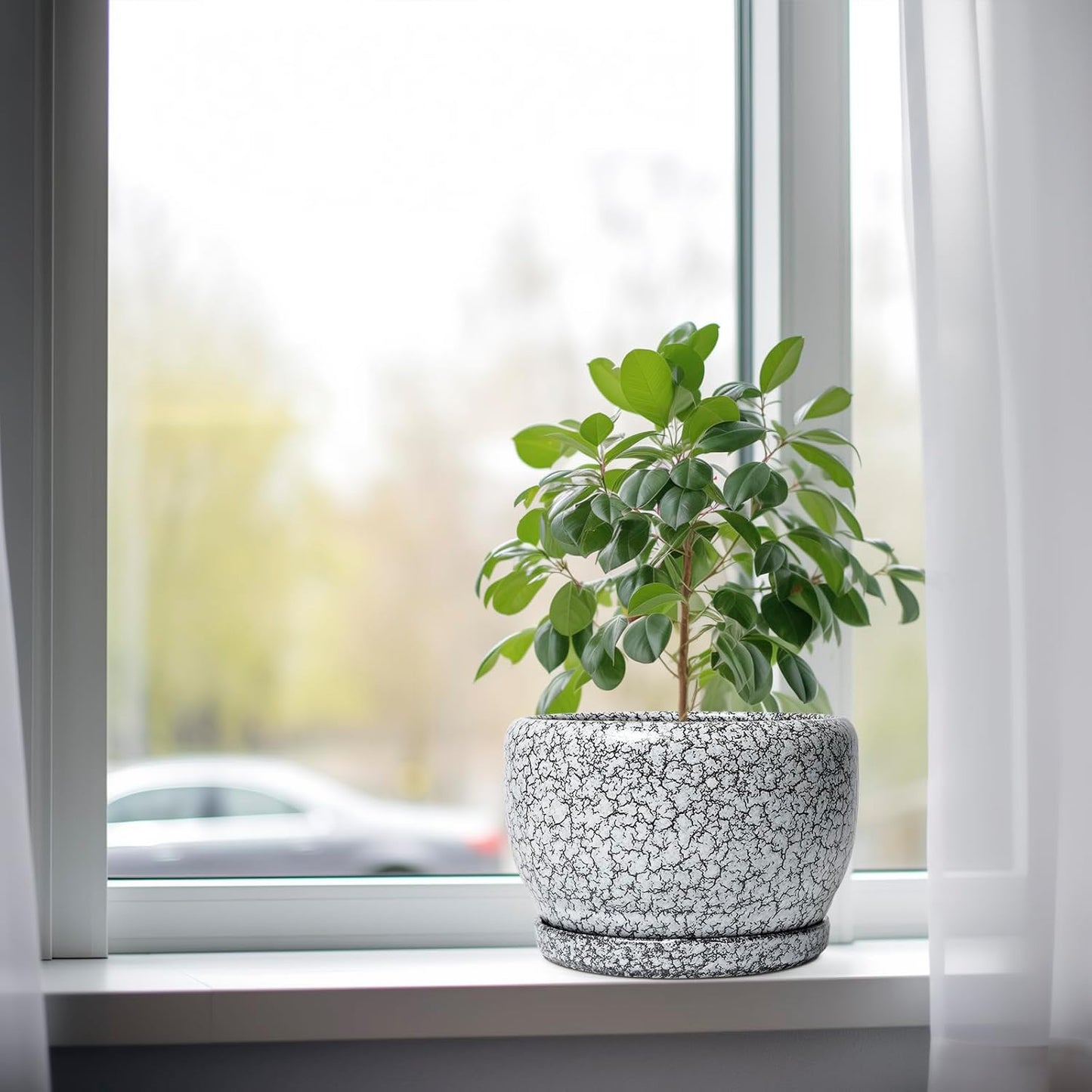 SQOWL 8 inch Plant Pot - Ceramic Planter with Drainage Hole and Saucer, Round Flower Pot for Indoor Plants, Decorative Planter Outdoor, Patio Balcony Decor, House Warming Gifts, Black and White