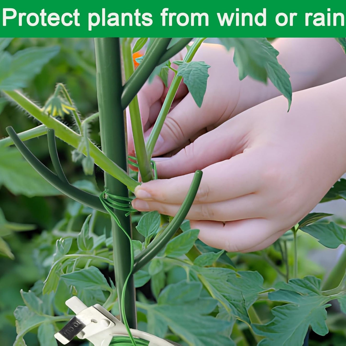 Orgrimmar 6 Pack Monstera Plant Support Stakes Adjustable Length with Green Ties for Indoor Outdoor Climbing Plants