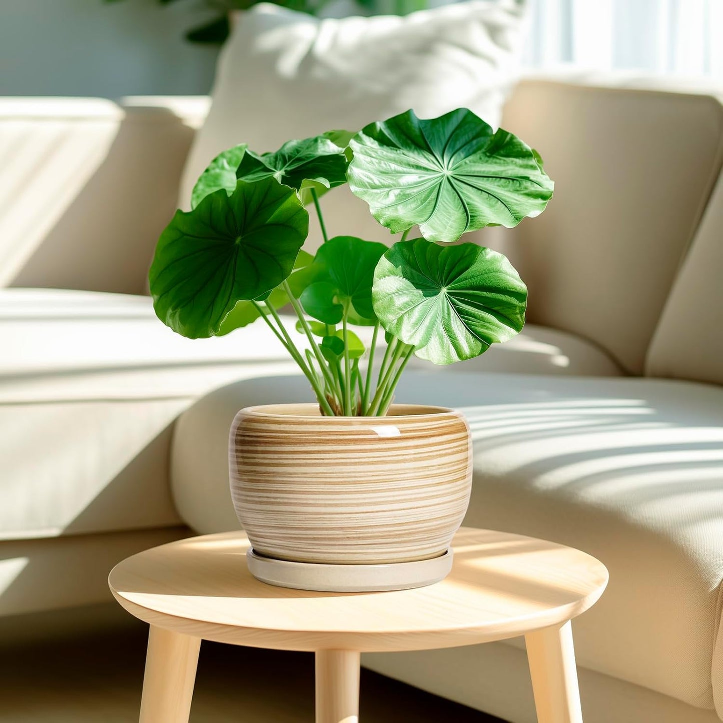 SQOWL Ceramic Planter- 8 Inch Plant Pot Indoor Outdoor, Round Planter with Drainage Hole and Plant Saucer, Decorative Modern Ceramic Flower Pot, Living Room Decor, Garden Gifts, Yellow