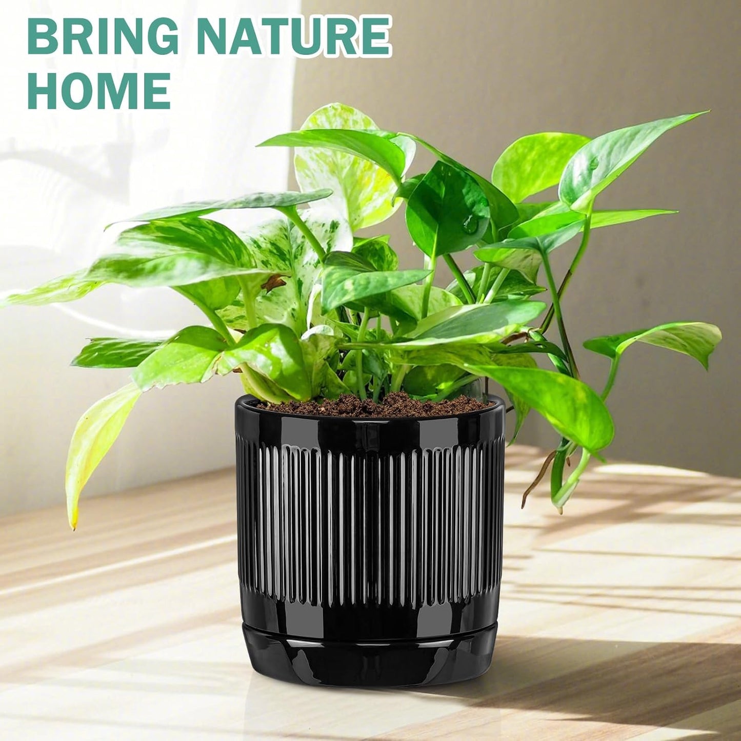 Vanavazon Ceramic Planter Pots for Indoor Plants with Drainage Hole and Saucer,6 Inch Cylinder Plant Pots,Glazed Finish Interior and Exterior,Set of 2 (Black)