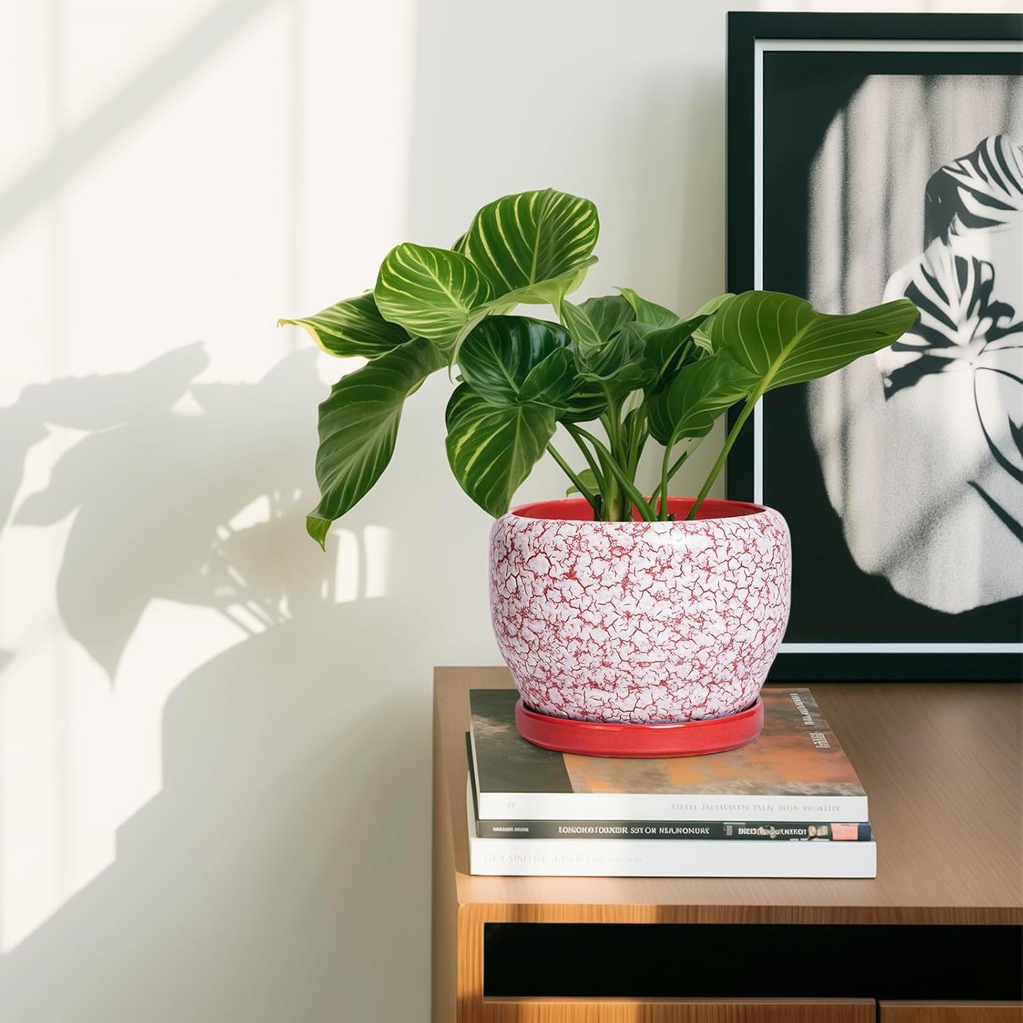 SQOWL 6 Inch Plant Pot - Ceramic Planter for Indoor Outdoor, Round Decorative Plant Pot with Drainage Hole and Saucer, Small Flower Planter, Home Balcony Decor, Gifts for Women Men, Red and White