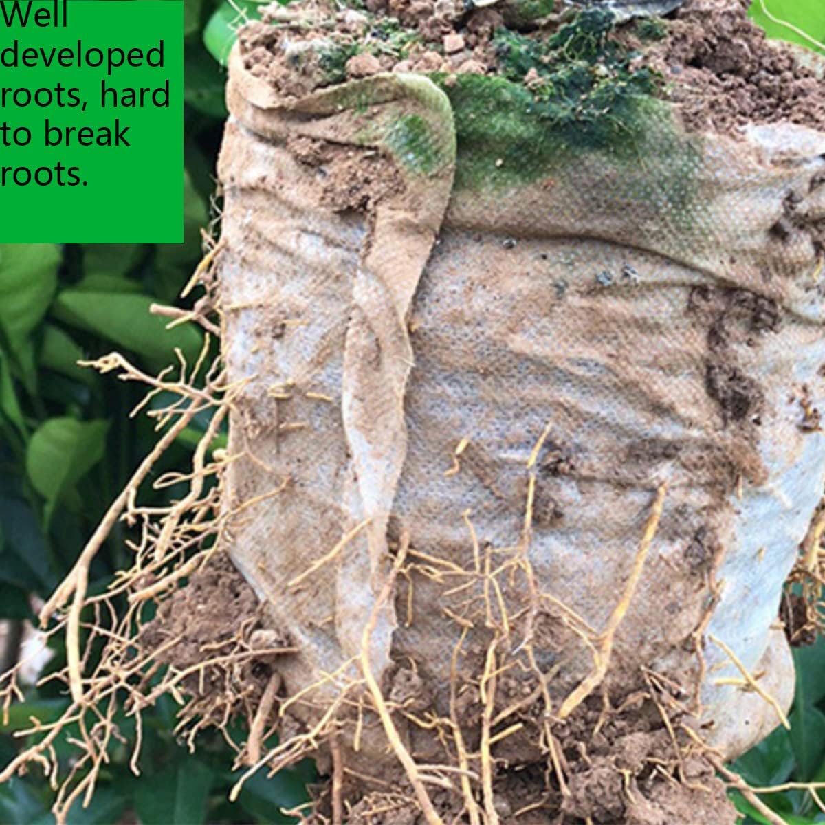 gardtree Plant Nursery Bags 5.5 * 6.3 inches 200PCS, Non-Woven Biodegradable Plant Grow Bags Fabric Seedling Starter Bags for Vegetable Flower Fruit Saplings Tree, Home Garden Supply