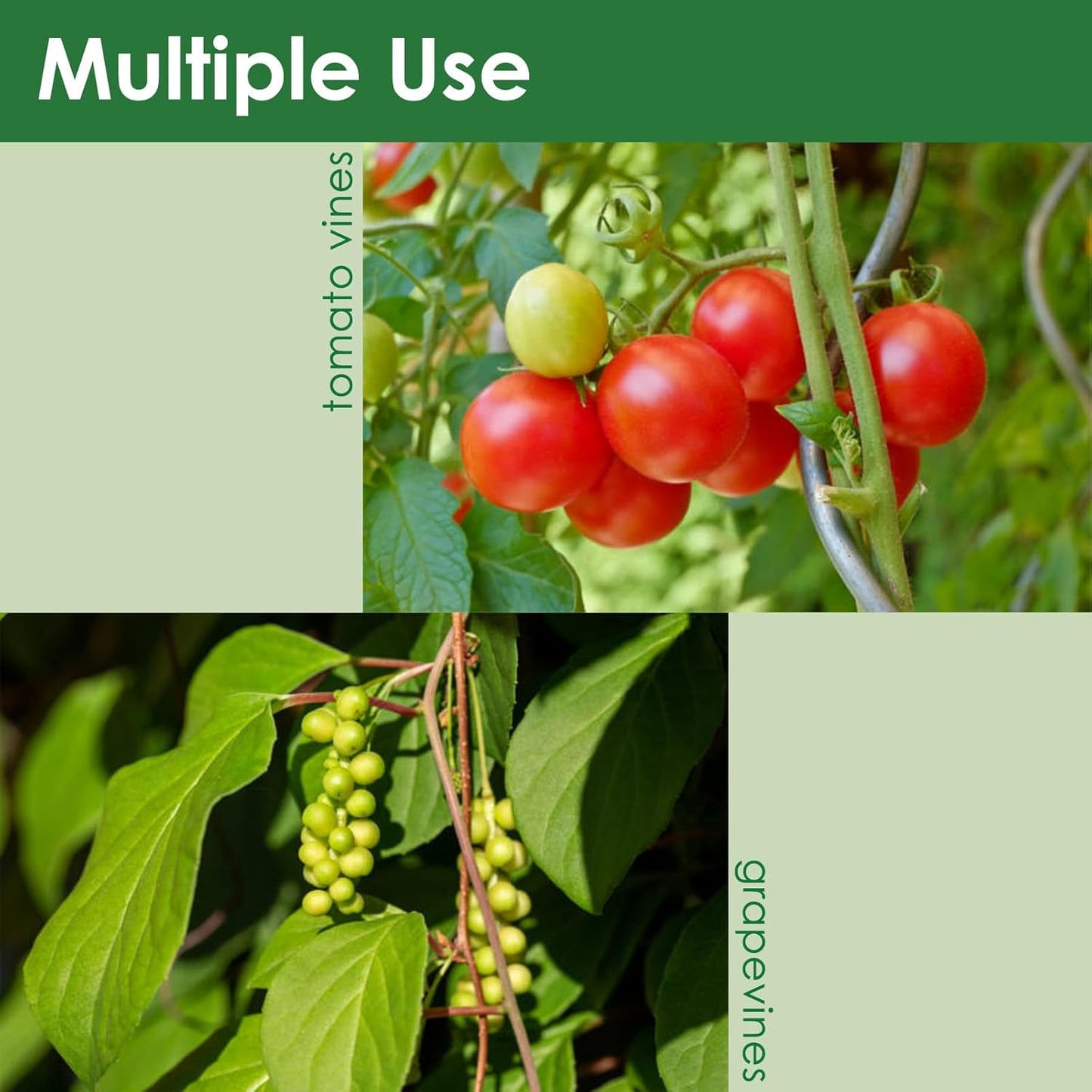 Soft Plant Tie Garden Plant Twist Tie TPR Plant Supply, for Supporting and Fixing Garden Planting Branches Vines, Stems, for Garden, Office, Home Organizing (164ft /3.5mm Diameter, Green)