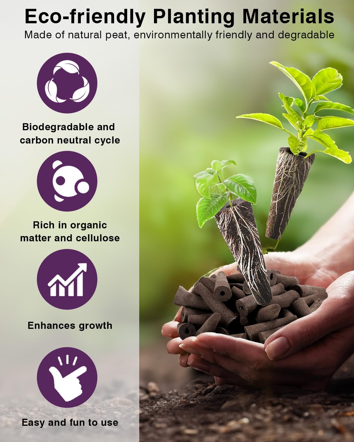 Salad Greens Seed Pod Kit for AeroGarden, iDoo, Ahopegarden, MUFGA with Red/Green Romain/American Fast/Buttercrunch/Parris Island Lettuce, Spinach - Compatible with All Garden (12-Pod)