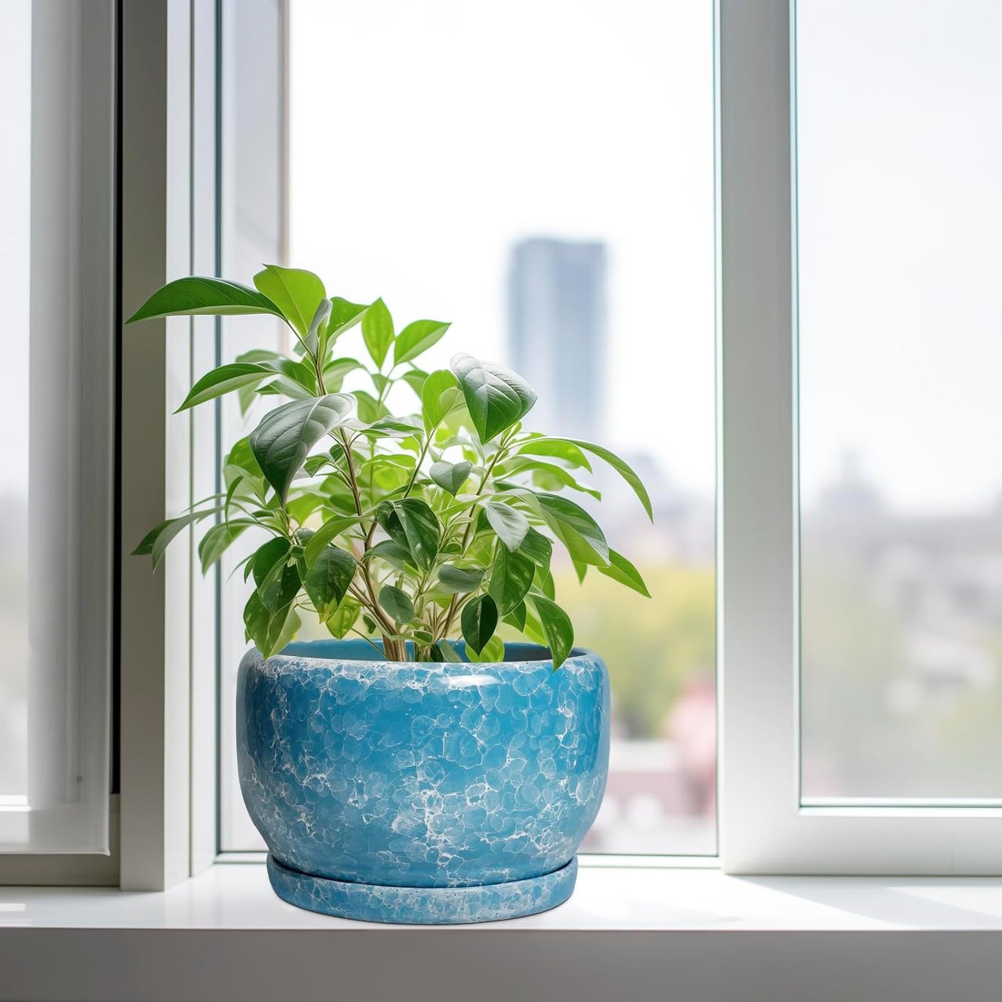 SQOWL Ceramic Planters - 10 Inch Plant Pot Indoor with Drainage Hole and Saucer, Decorative Flower Pot Outdoor, Round Large Planter, Living Room Office Garden Decor, Plant Lover Gifts for Women, Blue