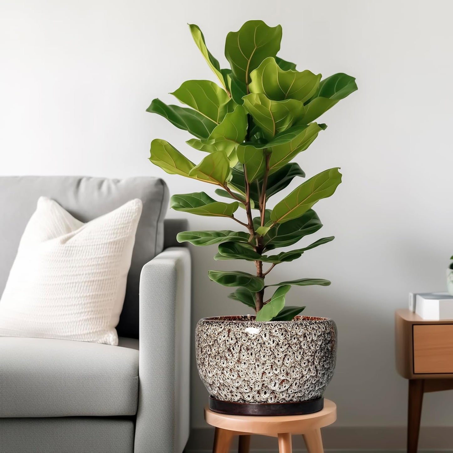 SQOWL Ceramic Plant Pots - 10 Inch Planter for Indoor Plants Outdoor, Large Flower Pots with Drainage Hole and Saucer, Decorative Round Planter, Apartment Decor, Garden Gifts for Women, White