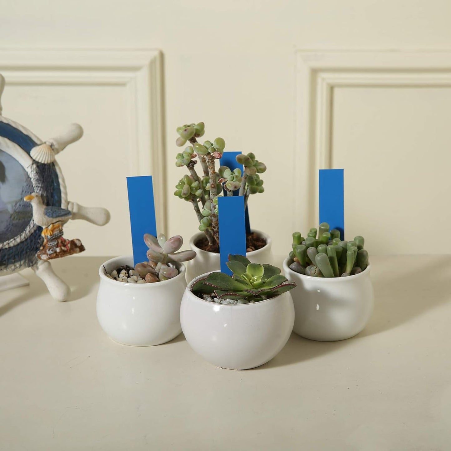 1000 Pcs 4 Inch Garden Plant Labels, Plastic Nursery Tags Waterproof Pot Seed Markers, Blue