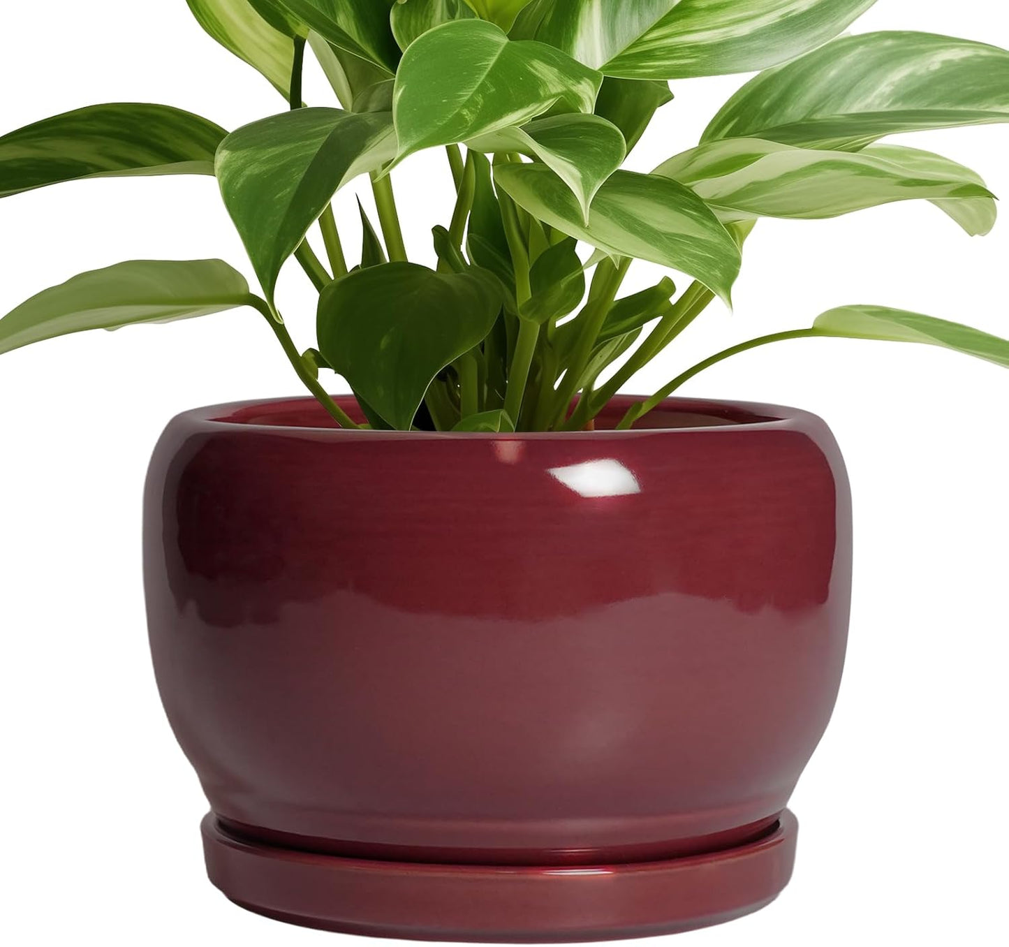 SQOWL Ceramic Planter - 8 Inch Plant Pot with Drainage Hole and Saucer, Round Planter for Indoor Outdoor Plants, Modern Decorative Flower Pots, Home Decor, Plant Lover Gifts, Red
