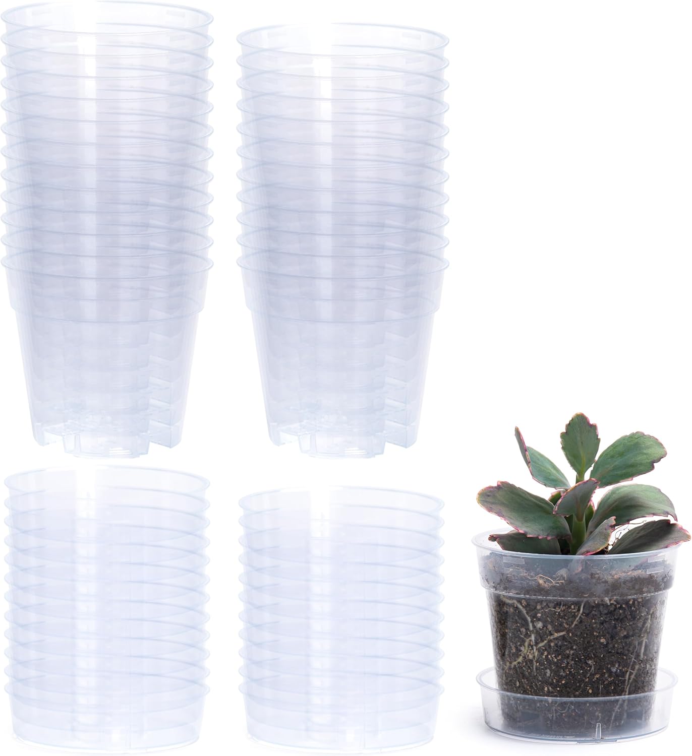 4 Inch Clear Plastic Plant Pot with Drainage Holes, Interlocking & Detachable Tray - Deep Saucer - Durable BPA-Free Plastic, Transparent Design, Raised Base for Airflow, Set of 24, 92-X-C-2