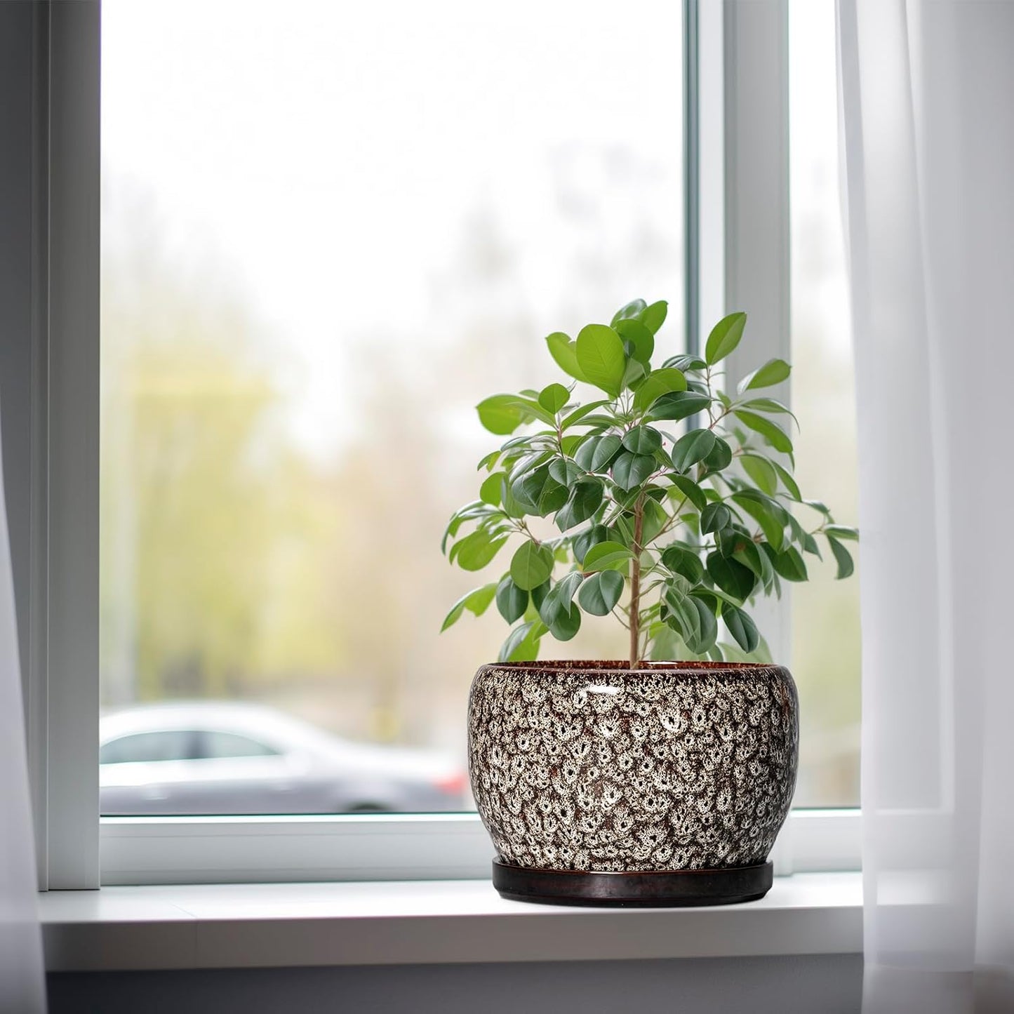 SQOWL Ceramic Planter - 8 inch Plant Pot Indoor with Drainage Hole and Plant Saucer, Round Ceramic Flower Pots Outdoor, Decorative Modern Planter, Office Kitchen Decor, Gifts for Women Men, White