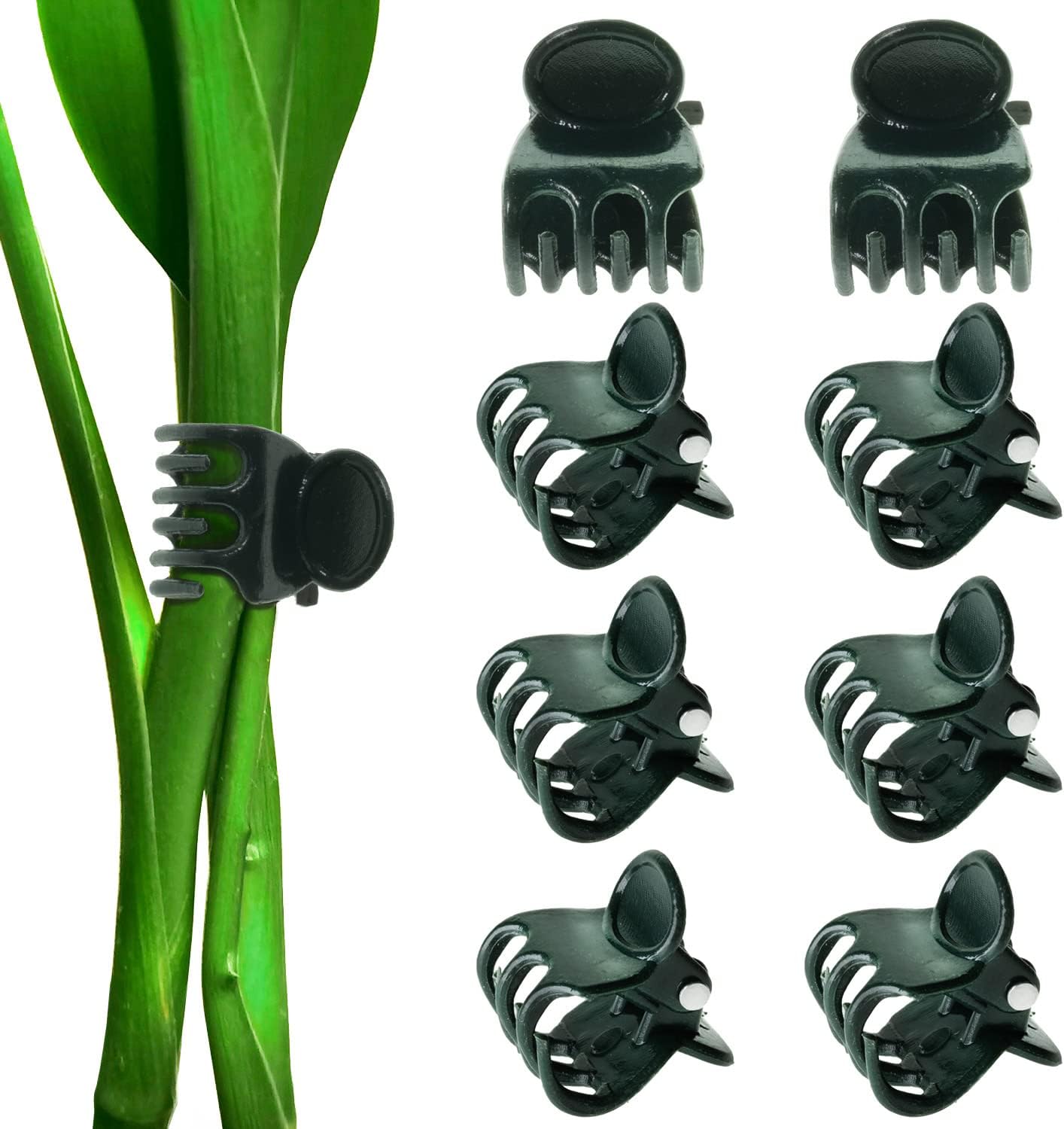 BEADNOVA Plant Clips 100Pcs Orchid Clips Orchid Support Clips Vine Clips Plant Clips for Support Flower Orchid Vine (100PCS)