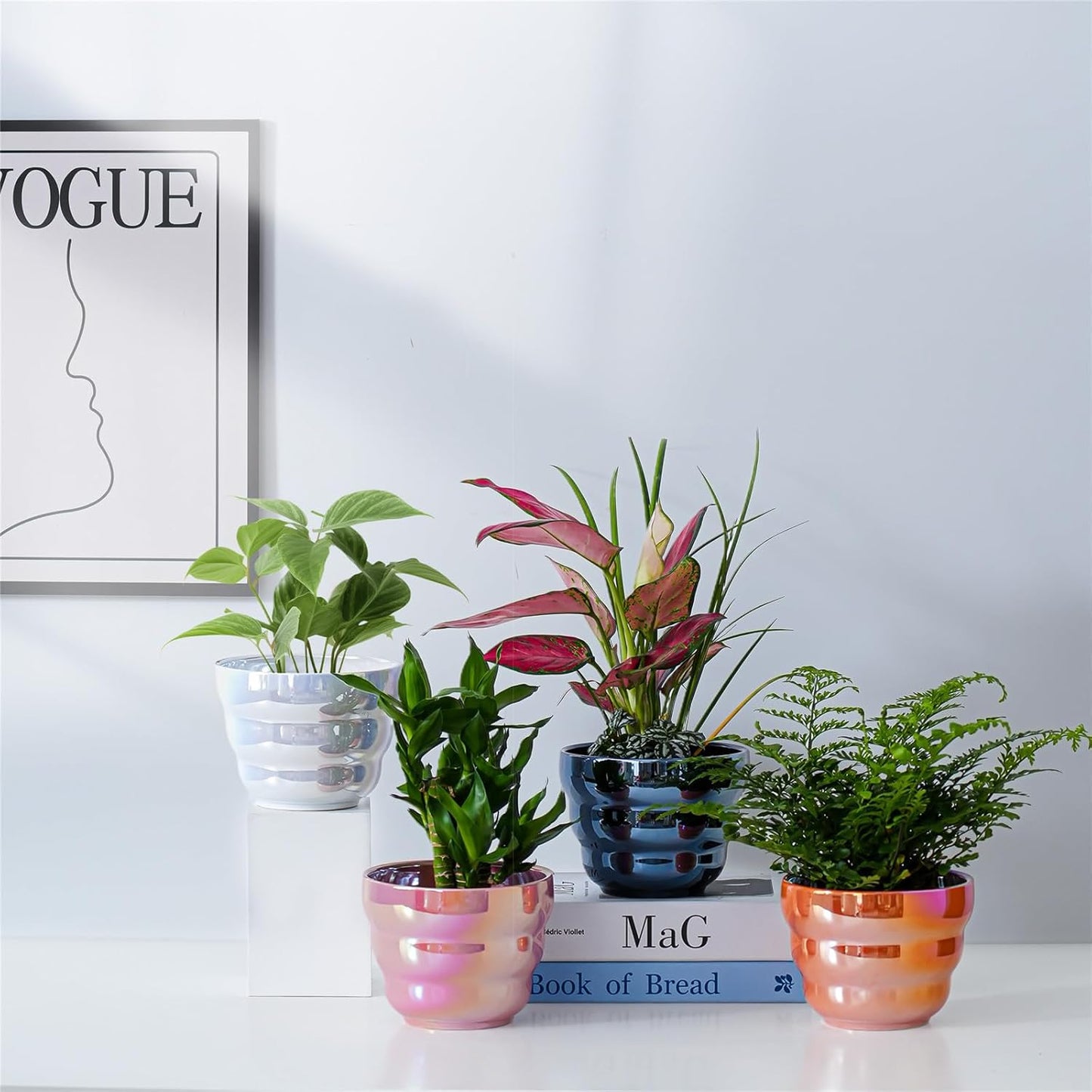 Plant Pots Indoor, 6 Inch Ceramic Rainbow Pearl Glaze Planters with Drainage Hole, Set of 2 Flower Pots for Succulents Cactus Orchid, Black and Orange