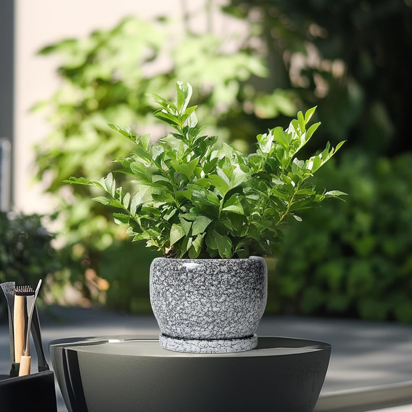 SQOWL Ceramic Pot for Plants - 6 Inch Ceramic Planter for Indoor Outdoor, Decorative Plant Pot with Drainage Hole and Saucer, Round Planter for Flower, Bedroom Decor, Garden Gifts, Black and White