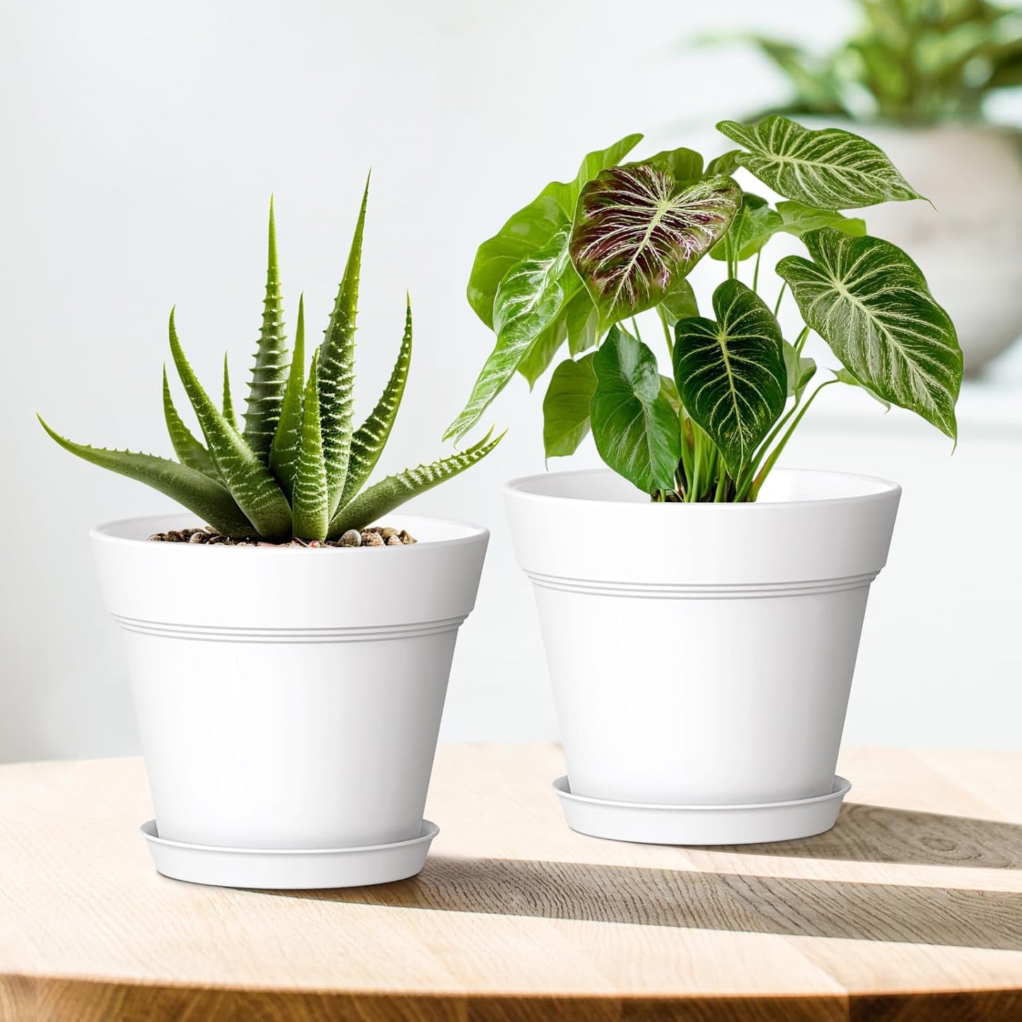 6 Inch Thick Plastic Plant Pots with Drainage Holes and Trays – 6 Pack Nursery Pots for Indoor & Outdoor House Plants, Seedling Starter Planters for Garden Flowers, White