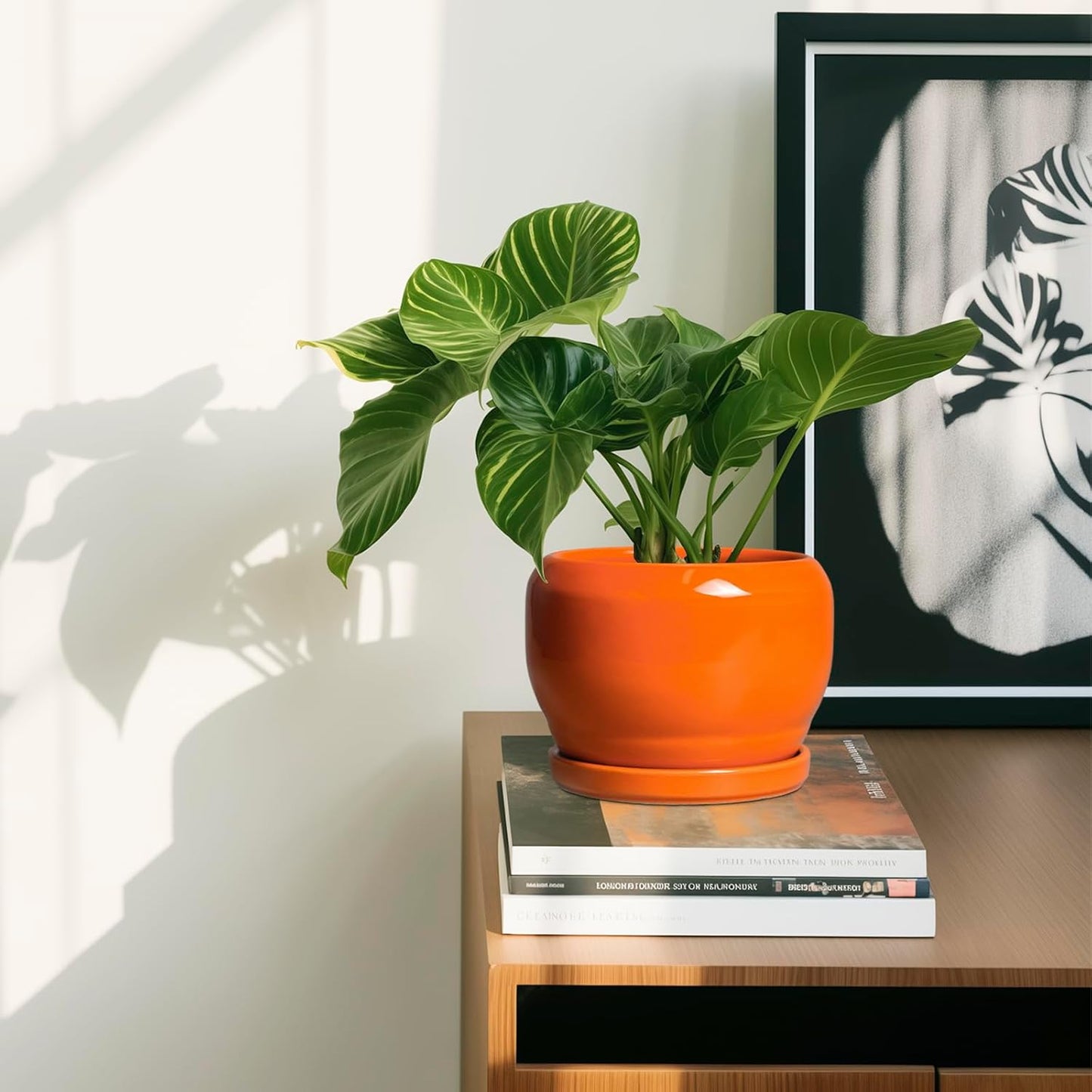 SQOWL Ceramic Plants Pots - 6 Inch Planter Indoor with Drainage Hole and Plant Saucer, Modern Round Planter Outdoor, Decorative Succulent Pot, Home Decor, Housewarming Gifts, Orange