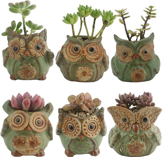 Ogrmar 6Pack Owl Plant Window Boxes Cute Owl Flower Pot/Modern Ceramic Succulent Planter Pots/Tiny Flower Plant Containers Animal Decor