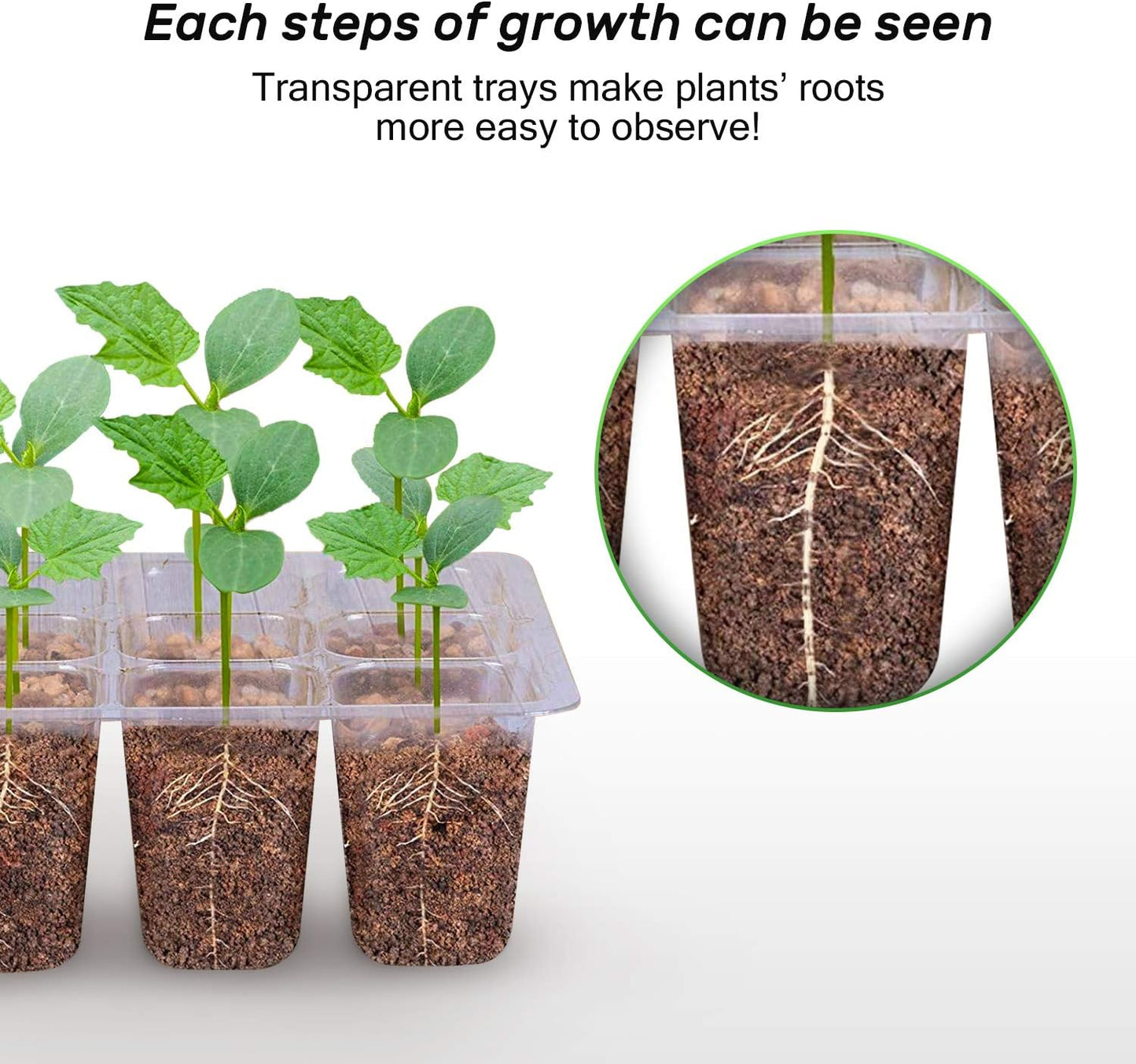 Bonviee 12 Packs Seed Starter Tray with Drainage Holes, Reusable & Durable, Clear for Root Monitoring, Easy to Repotted Without Root Damage, 12 Cells per Tray