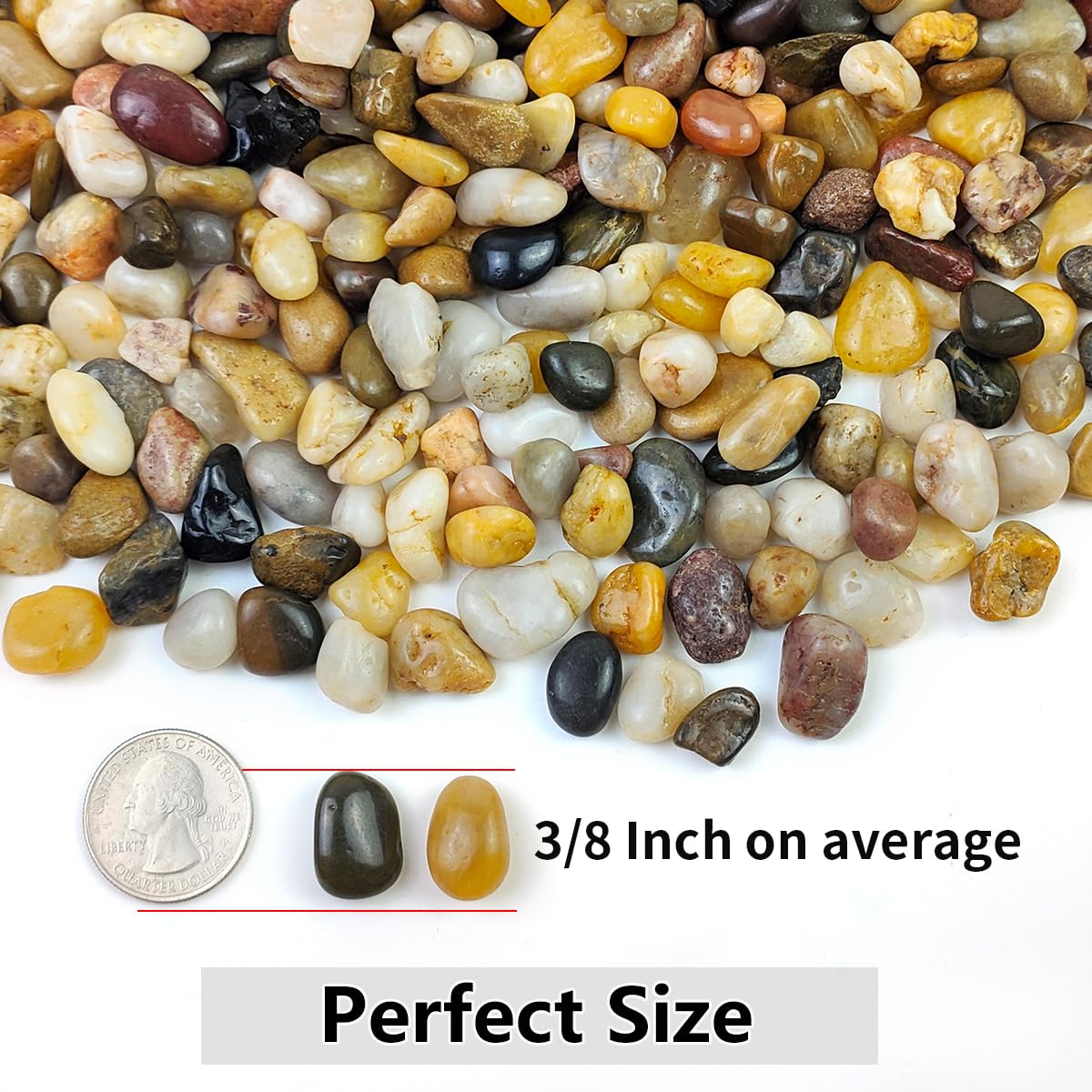 10LB Succulent and Cactus Gravel Pebbles, 3/8 Inch Decorative Polished Stones, River Rocks for Plants, Vases, Aquariums, Terrarium and Outdoor Gardening, Natural