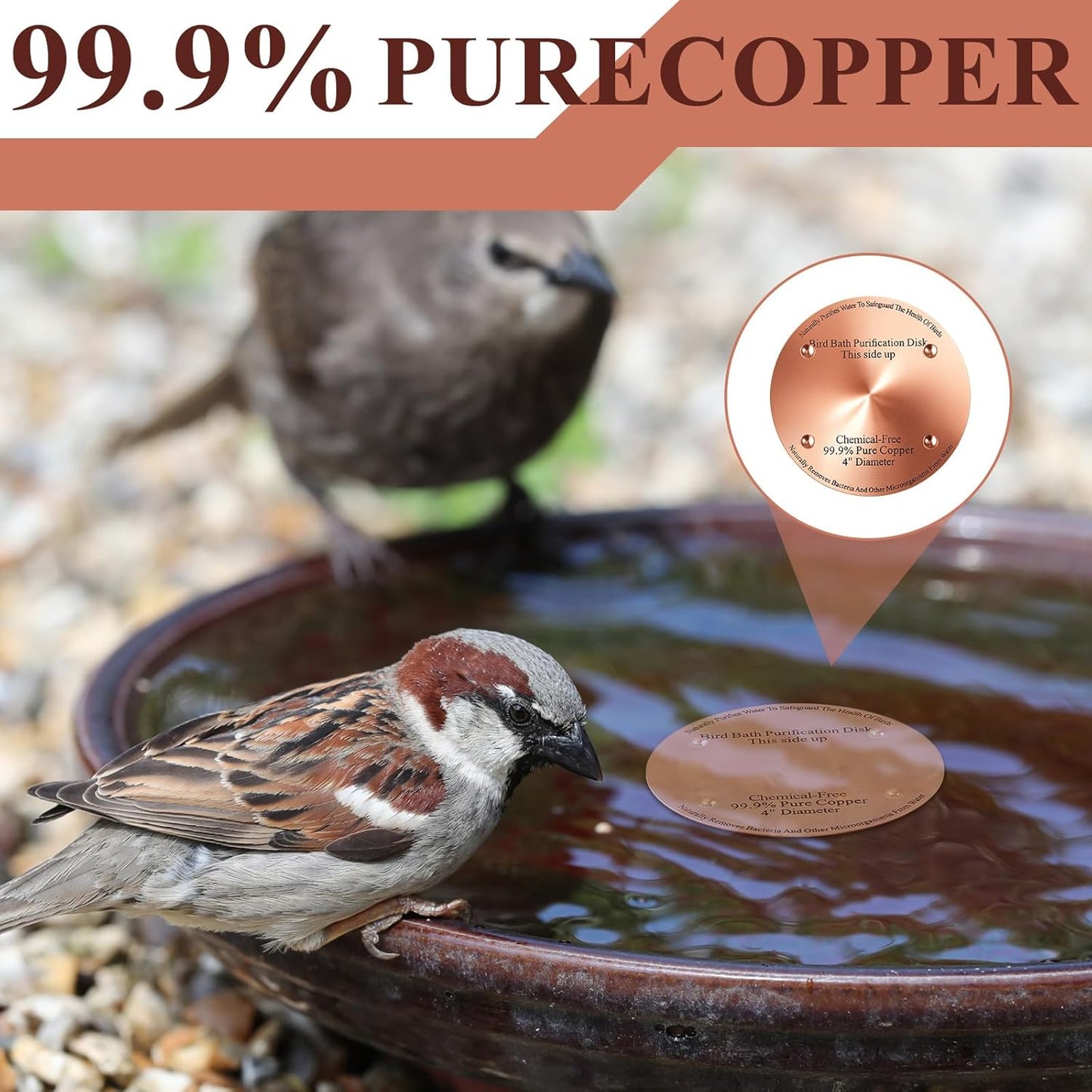 4 Pcs Bird Bath Copper Disk, 0.6mm Thick Reinforced 99.99% Pure Copper Birdbath Purification Disk, with 4 Point Support for Outdoor Birdbaths Bowls Cleaner, 4 Inch (Classic)