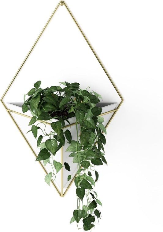 Umbra Trigg Hanging Planter Vase & Geometric Wall Decor Container - Great for Succulent Plants, Air Plant, Mini Cactus, Faux Plants and More, White Ceramic/Brass
