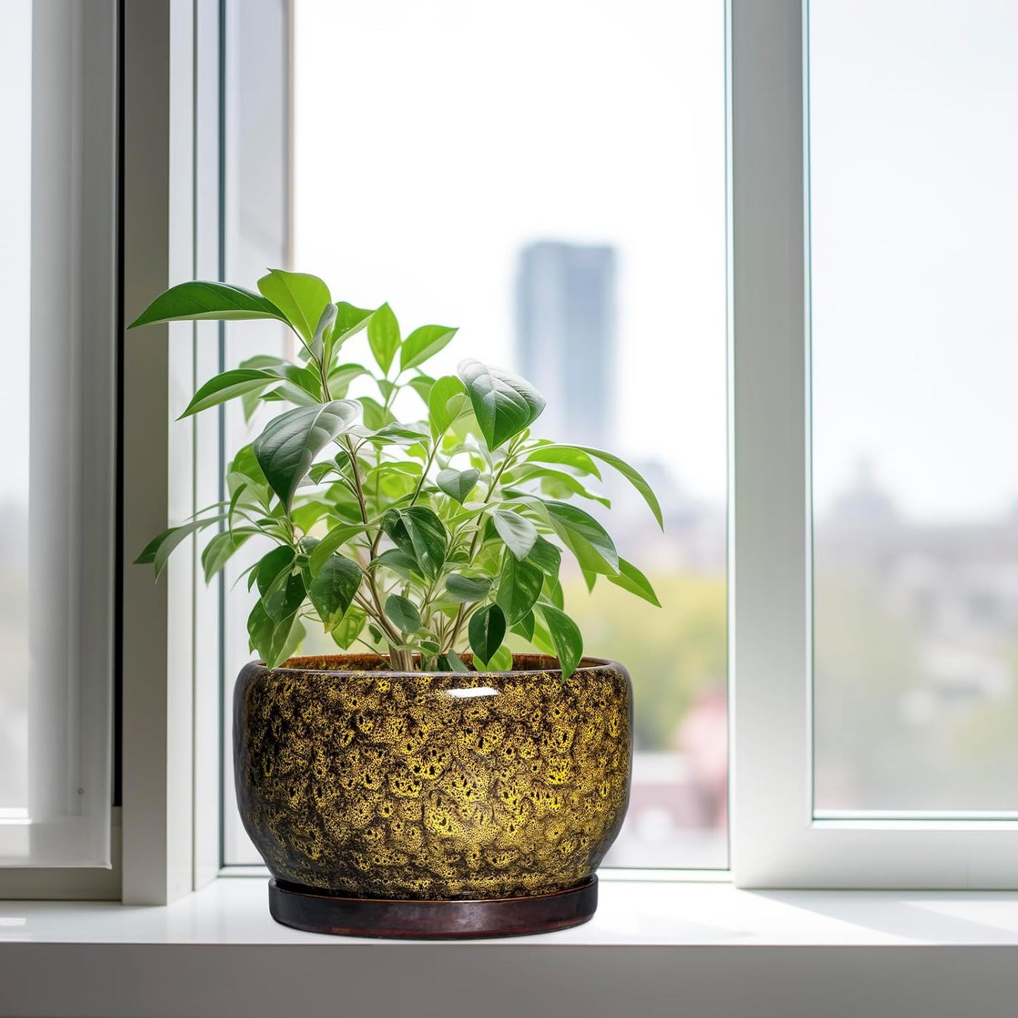 SQOWL 10 Inch Plant Pot - Ceramic Flower Pots with Drainage Hole and Saucer, Ceramic Planter for Indoor Plants Outdoor, Decorative Round Large Planter, House Decor, Gifts for Women Men, Yellow