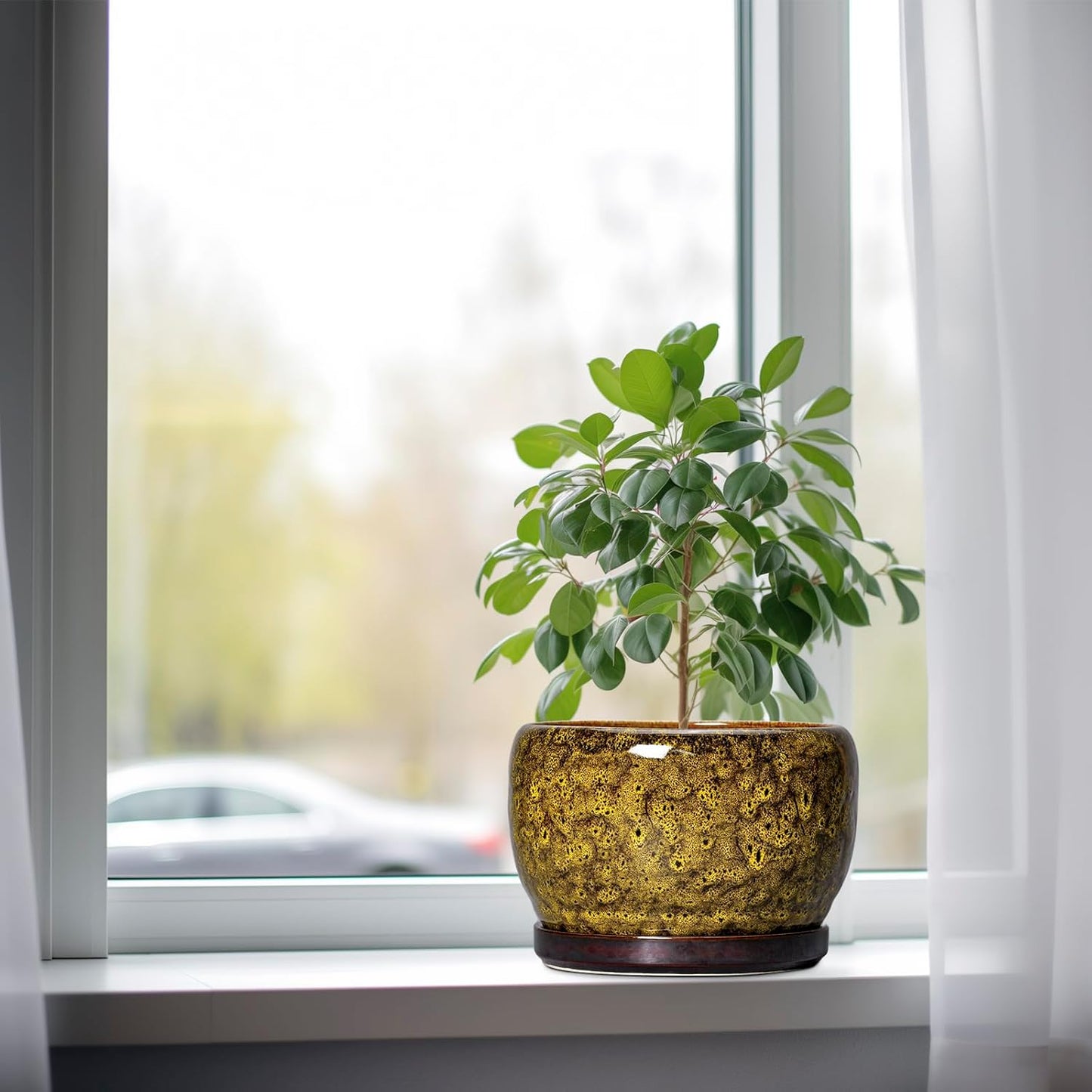 SQOWL Ceramic Flower Pots - 8 inch Ceramic Planter for Indoor Plants, Decorative Plant Pots with Drainage Hole and Saucer, Round Planter Outdoor, Porch Backyard Decor, Housewarming Gifts, Yellow