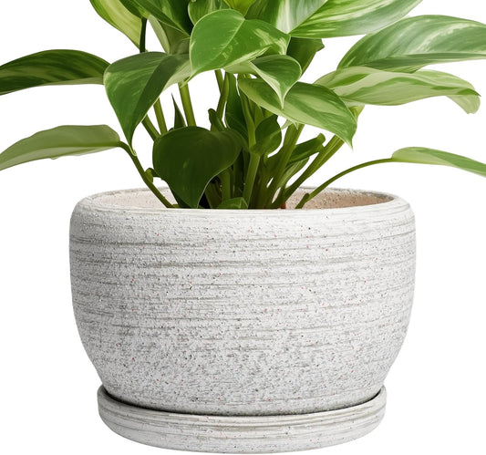 SQOWL Ceramic Plant Pots - 8 inch Planter for Indoor Plants, Round Flower Pot with Drainage Hole and Plant Saucer, Modern Decorative Ceramic Planter Outdoor, Home Room Decor, Garden Gifts, Gray