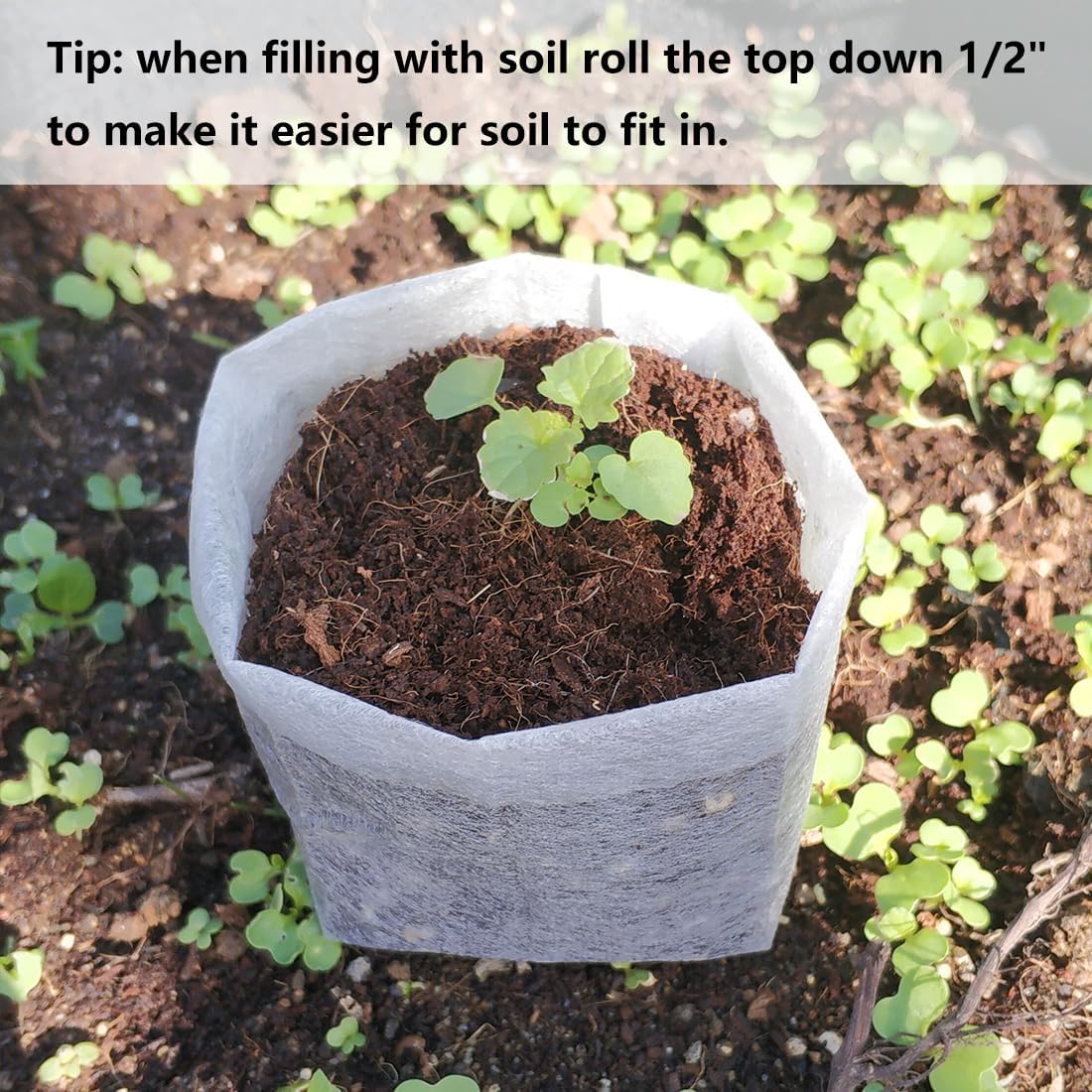 Belit Nursery Growing Bags, 200 Pcs Fabric Seedling Pots Non-Woven Pouch for Gardening Seed Plant Bag, Potato, Flower, Tomato Plant Starts (5.7" x 5.7 ")