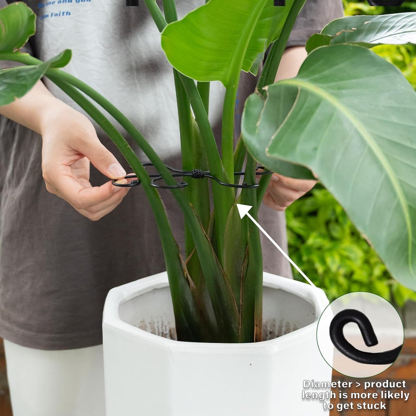 Black Monstera Plant Support Hook - 6.5 * 6.5IN -5 Piece Set, Durable Metal Stem Supports for Indoor Plants, Leaf Holder & Fishbone Cactus Stake, Stylish Design for Healthy Growth & Easy Care
