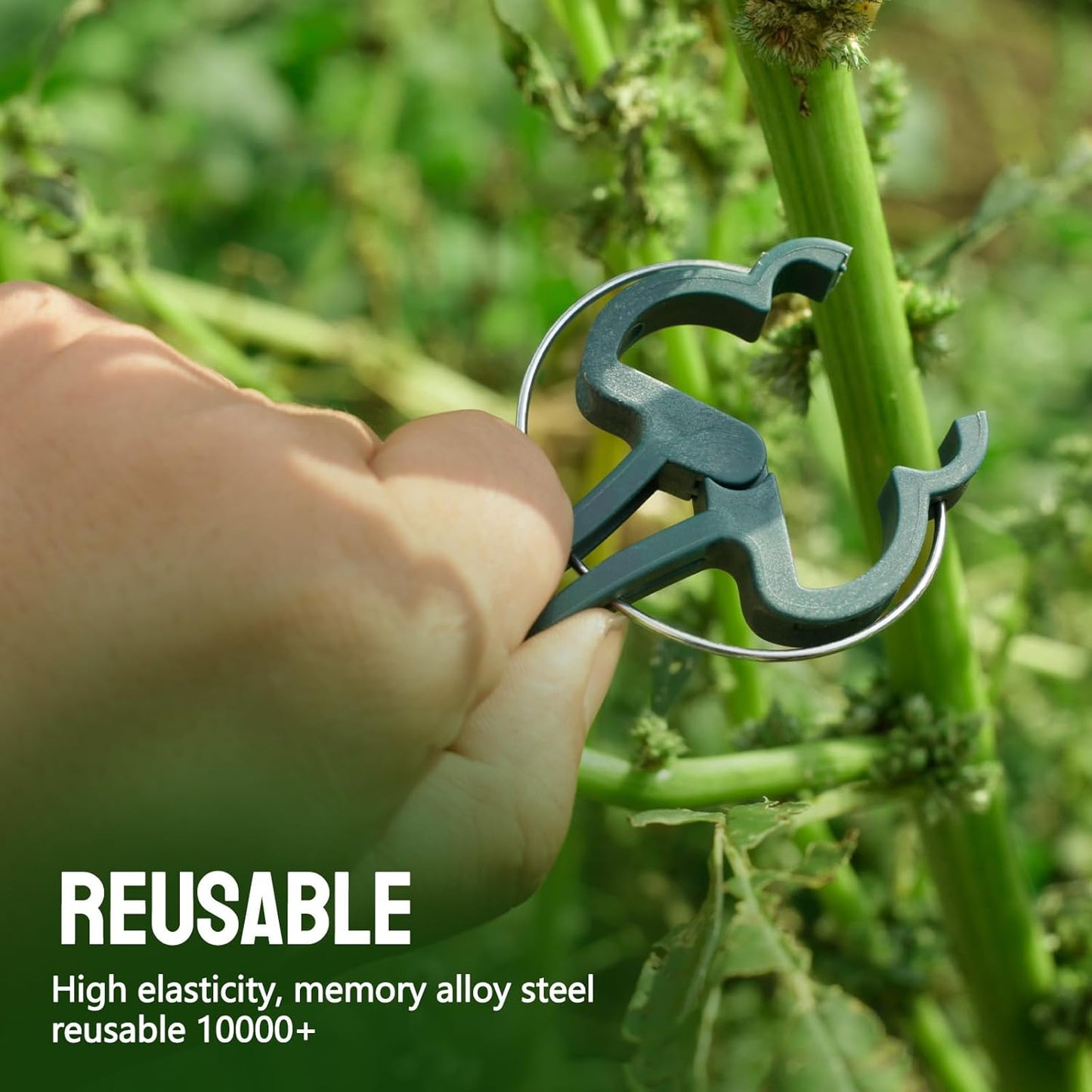 50 Green Pcs Large 2.36 inch Plant Support Clips, Flower and Vine, Tomato Plant Support Clips for Supporting Stems, Vines Grow Upright Climbing, Tool for Straightening, Trellis