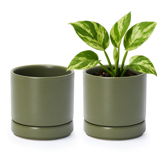D'vine Dev Set of 2 Plants Pots, 4.7 Inch Ceramic Planter Pot for Plants with Drainage Hole and Saucer, Olive, 94-V-B-J