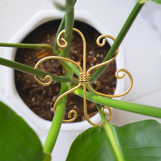 5PCS Monstera Plant Support System 4.1IN - Durable Hook Stem Supports for Healthy Growth, Stabilizer for Leaves and Turtle Shells, Easy-to-Use Indoor Plant Care, Ideal Present for Plant Lovers