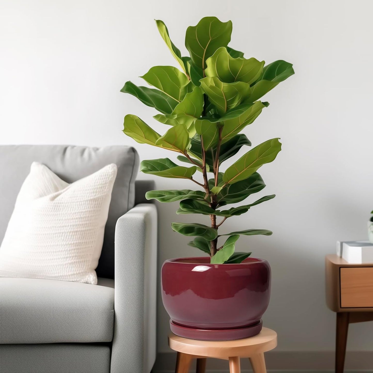 SQOWL Ceramic Pot for Plants - 10 Inch Indoor Planter with Drainage Hole and Saucer, Round Modern Planter Outdoor, Decorative Large Plant Pot for Flower, Living Room Decor, Garden Gifts, Red