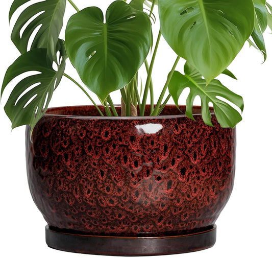 SQOWL Ceramic Flower Pots - 10 Inch Plant Pot Indoor, Ceramic Planter with Drainage Hole and Saucer, Round Decorative Large Planter Outdoor, Home Decor Living Room, Gifts for Plant Lovers, Red