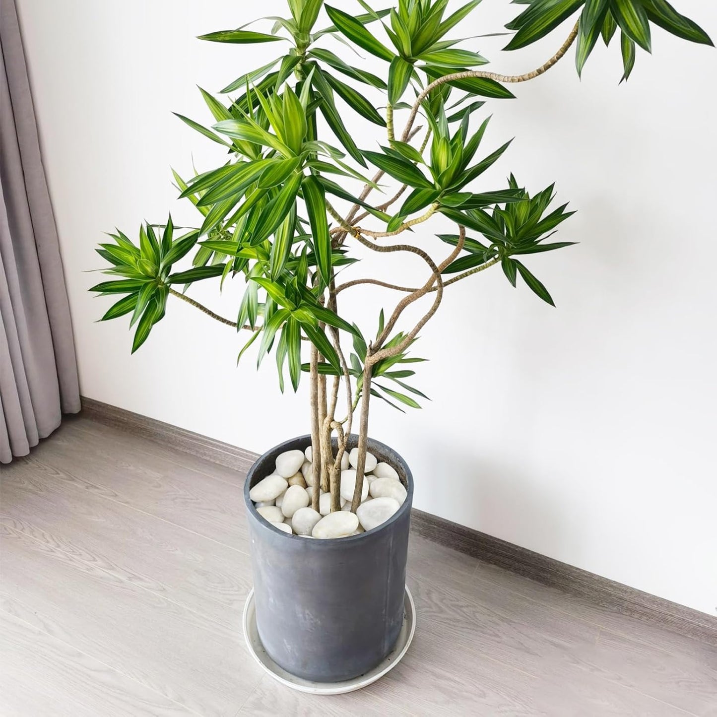 5 lbs White Pebbles for Indoor Plants, 1-2 Inch Small White River Rocks for Plants, Decorative Polished Stones for Landscaping Vase and Outdoor Garden