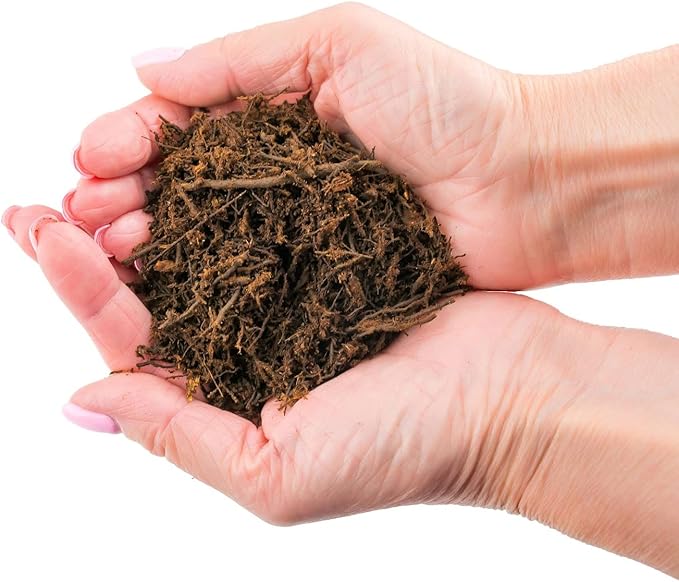 Premium New Zealand Tree Fern by GARDENERA - Orchid and Epiphytal Plants Growing Medium and Reptile Substrate - 4 Quart Bag