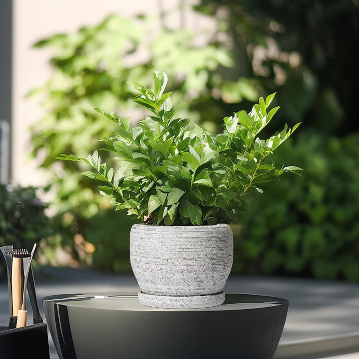 SQOWL Ceramic Planters for Indoor Plants - 6 Inch Plant Pot with Drainage Hole and Saucer, Small Ceramic Flower Pot, Round Decorative Planter Outdoor, Living Room Decor, Garden Gifts for Women, Gray