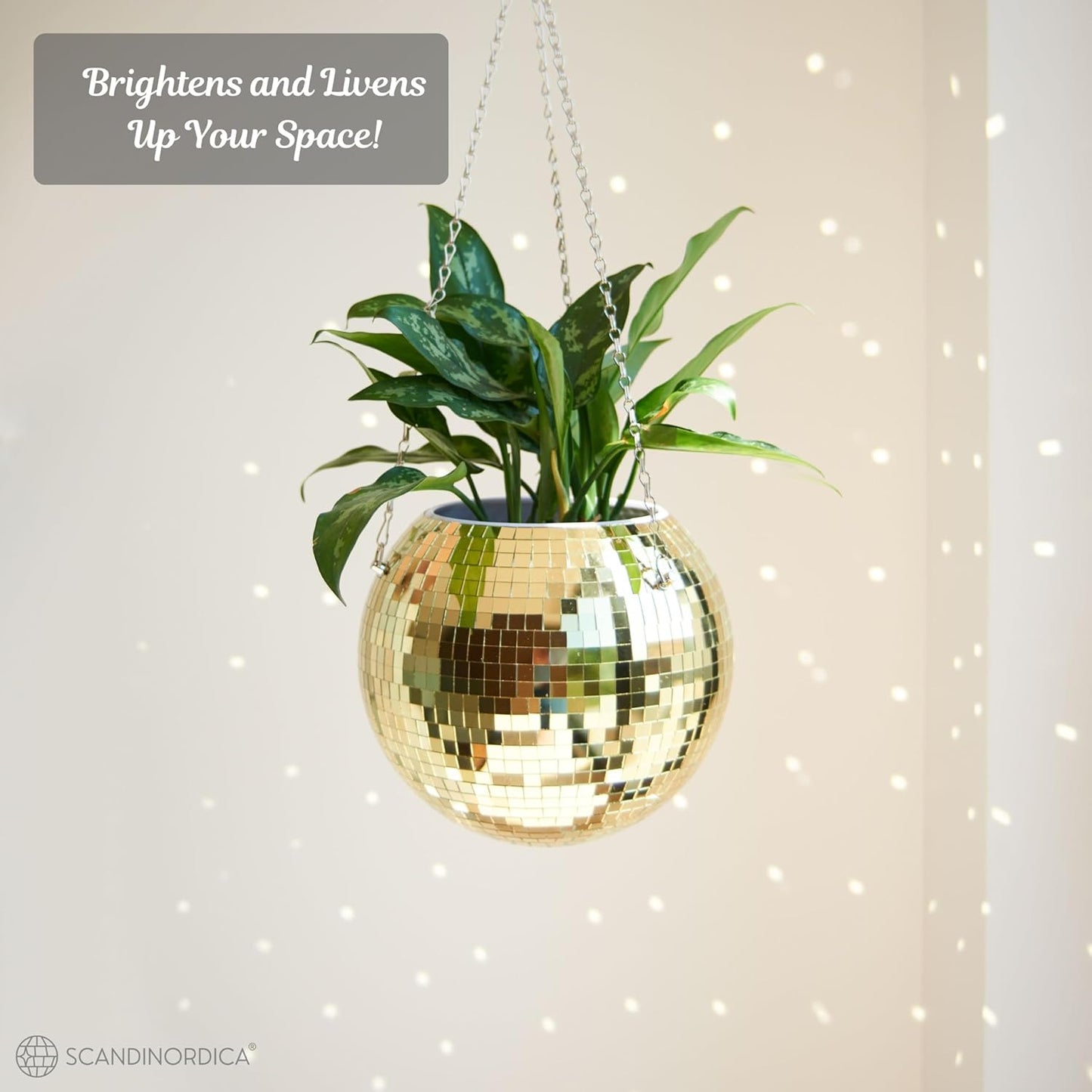 SCANDINORDICA Disco Ball Planter – Value Package: Mirror Disco Planter with Chain, Macrame Hanger and Acrylic Stand for Desk, Includes Self Watering Pot, Plant Accessories | 10 inch Gold