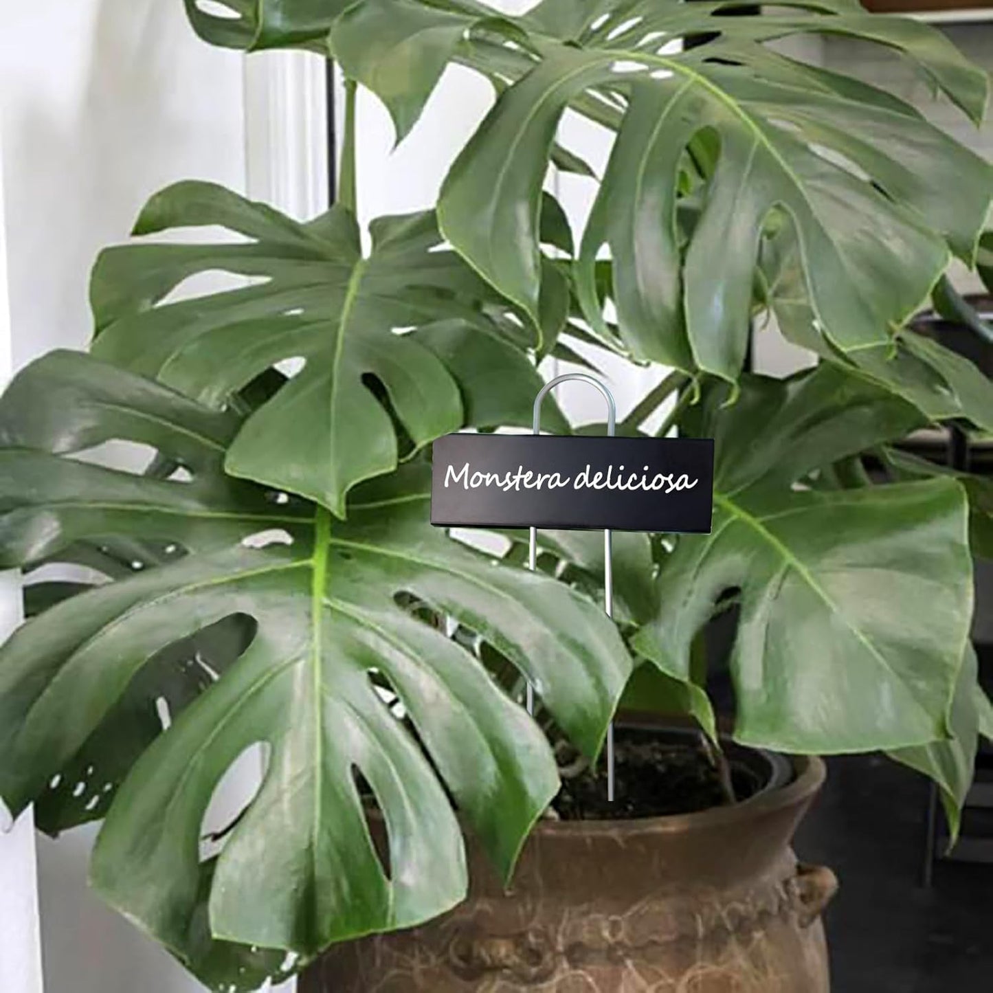 Plant Labels Metal Stainless Steel Garden Plant Markers Weatherproof Stake Tag Garden Plant Tags with Pen for Outdoor Seedling Flower Herb Vegetable Greenhouse(30 Pack) (Black)