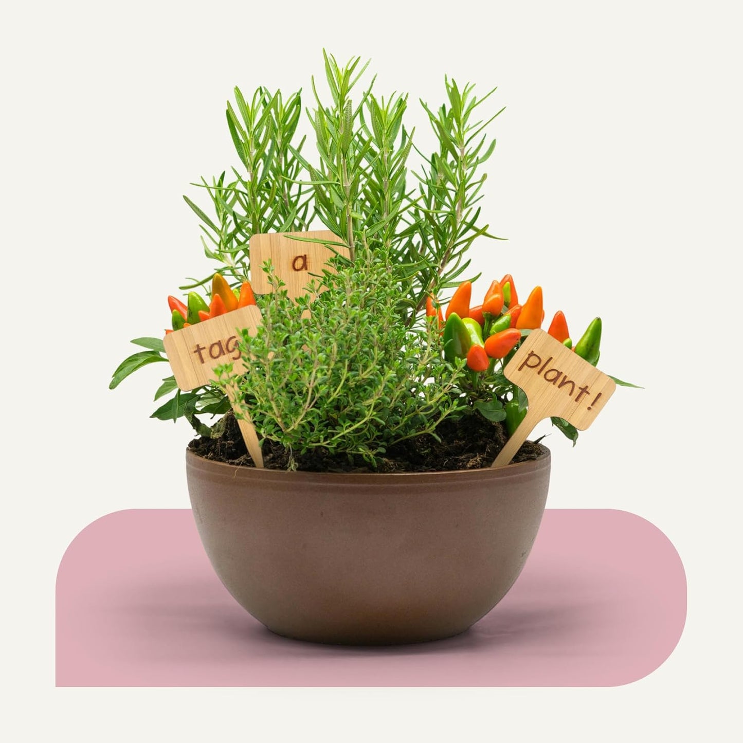 Bamboo Plant Labels, Eco-Friendly Garden Tags | Short T-Type Wooden Garden Markers | 100% Natural, Biodegradable | for Labeling Herbs, Seedlings, Vegetables, Cheeses, Appetizers, Desserts | 50 pcs