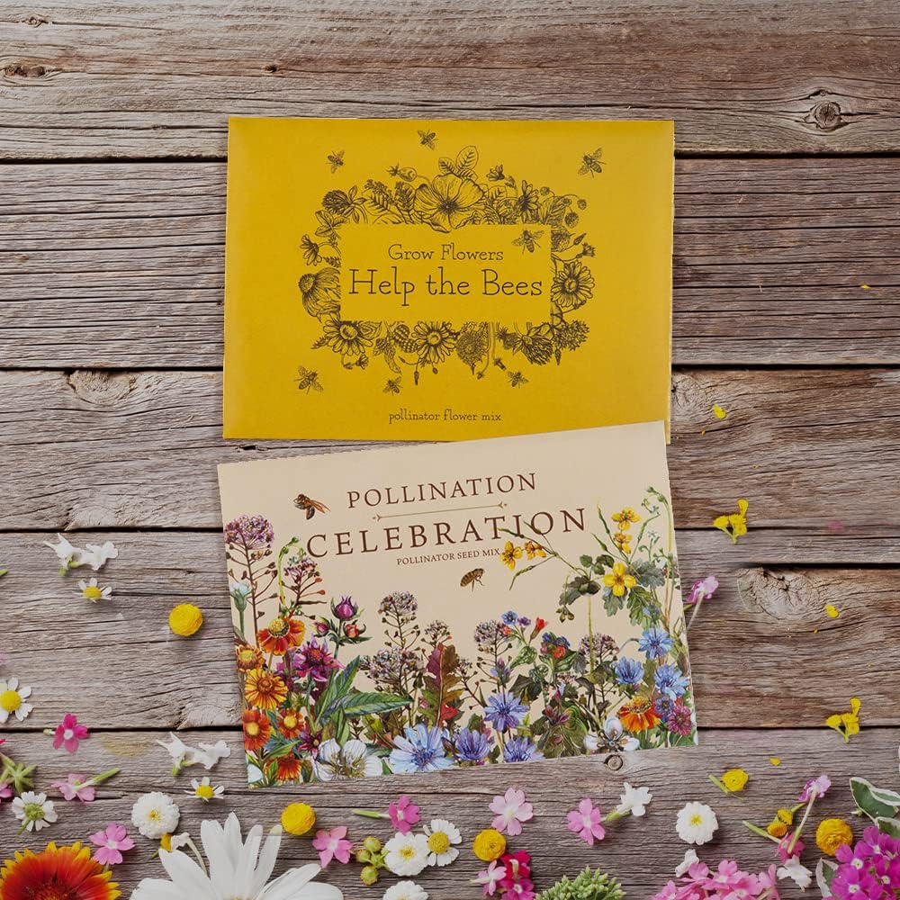 Bentley Pollination Celebration Wildflower Seed Packets, Non-GMO, Uncoated Flower Mix for Planting, Beautiful Garden Gift